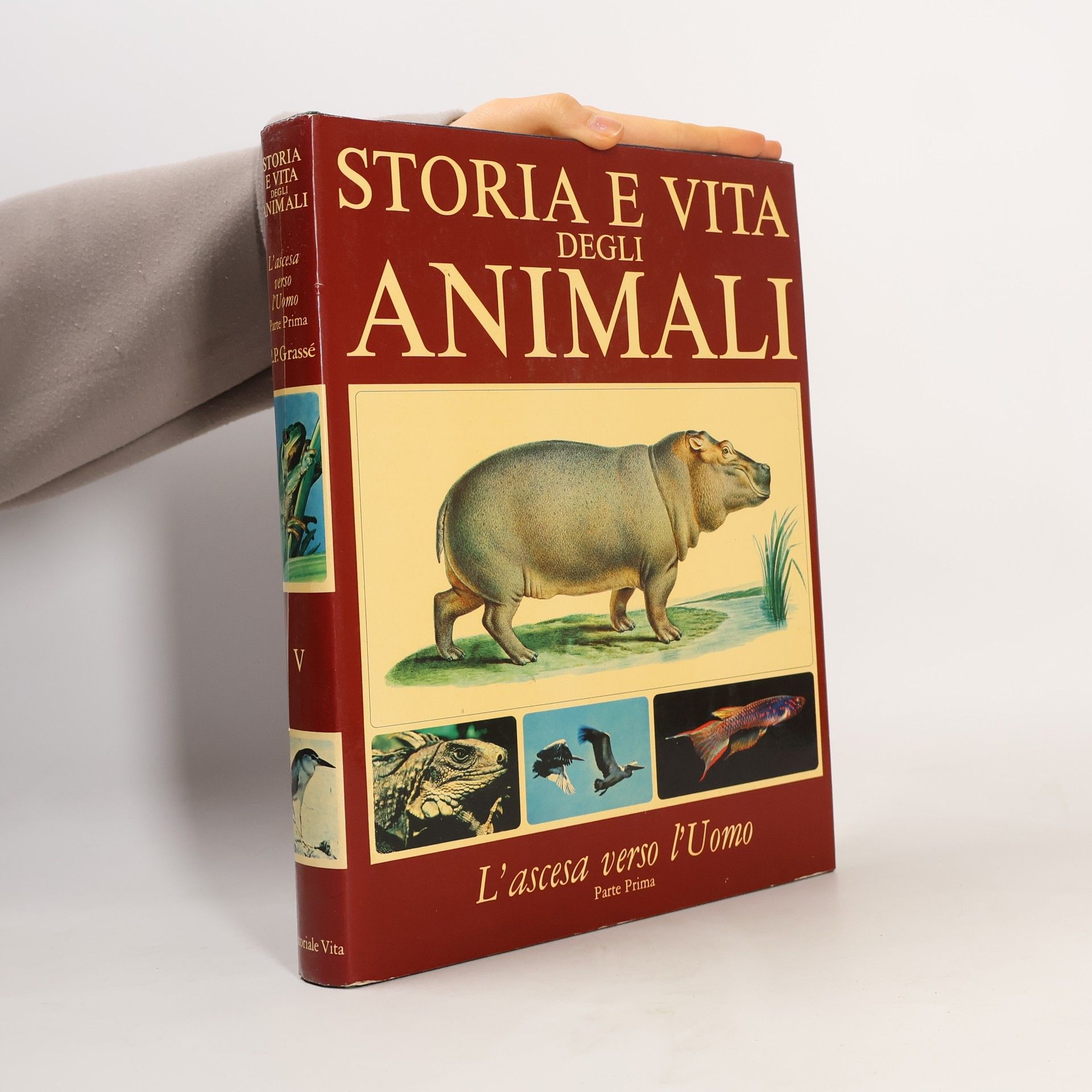 Various authors Storia e vita degli animali V