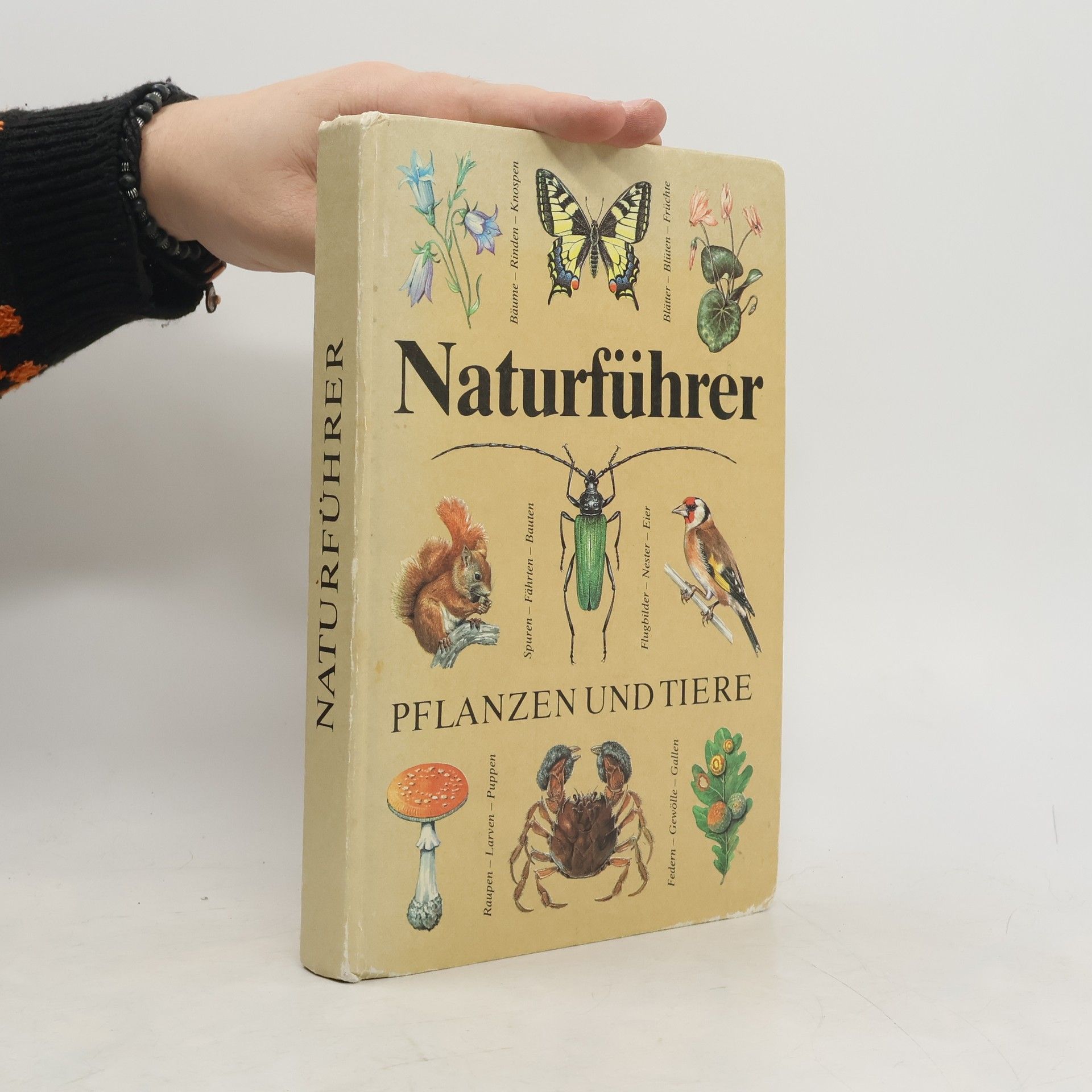 Christoph Needon Naturführer Pflanzen und Tiere