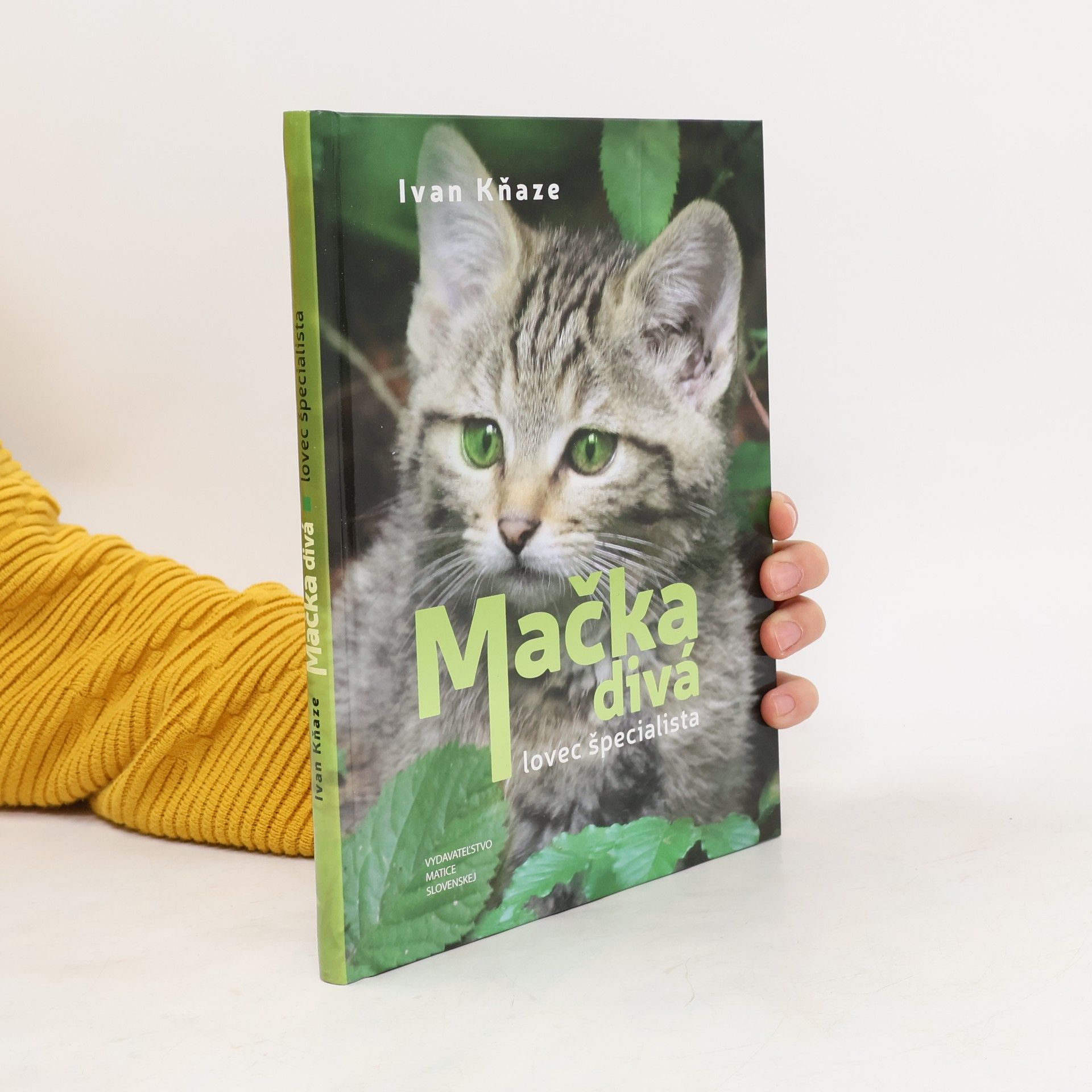 Ivan Kňaze Mačka divá