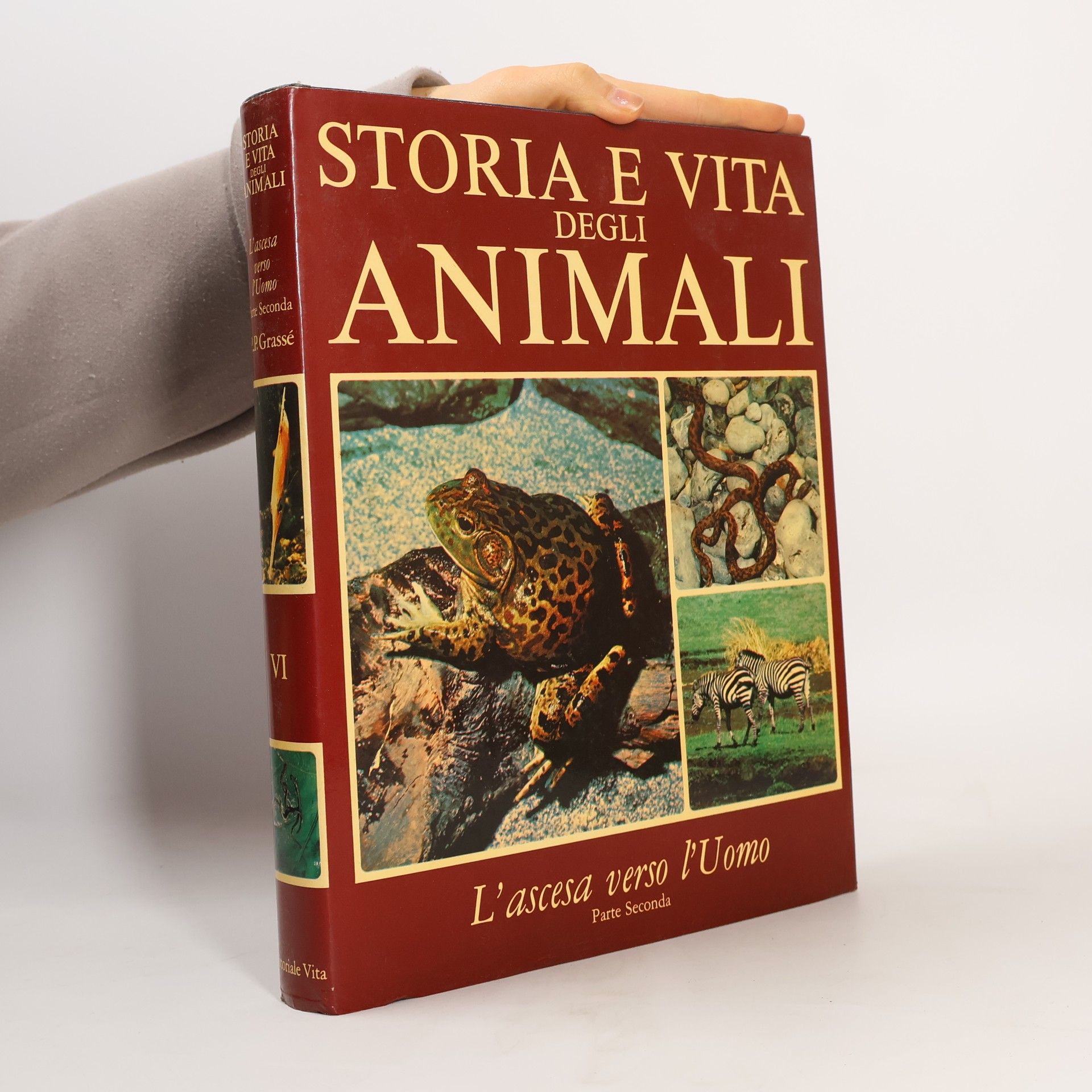 Pierre-P. Grassé Storia e vita degli animali. L'ascesa verso l'Uomo. Parte Seconda. VI