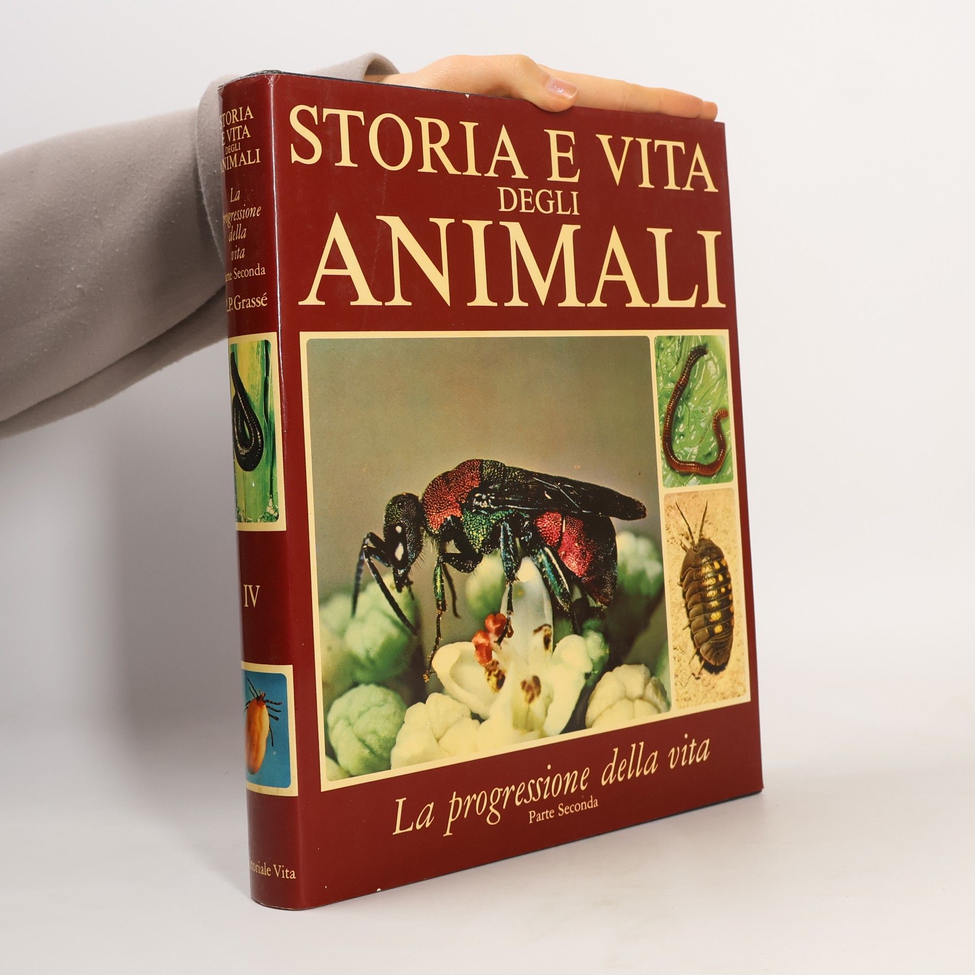 Various authors Storia e vita degli animali IV