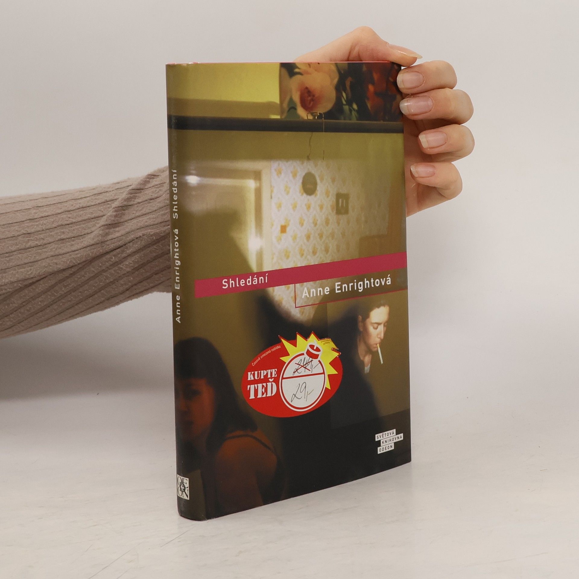 Anne Enright Shledání