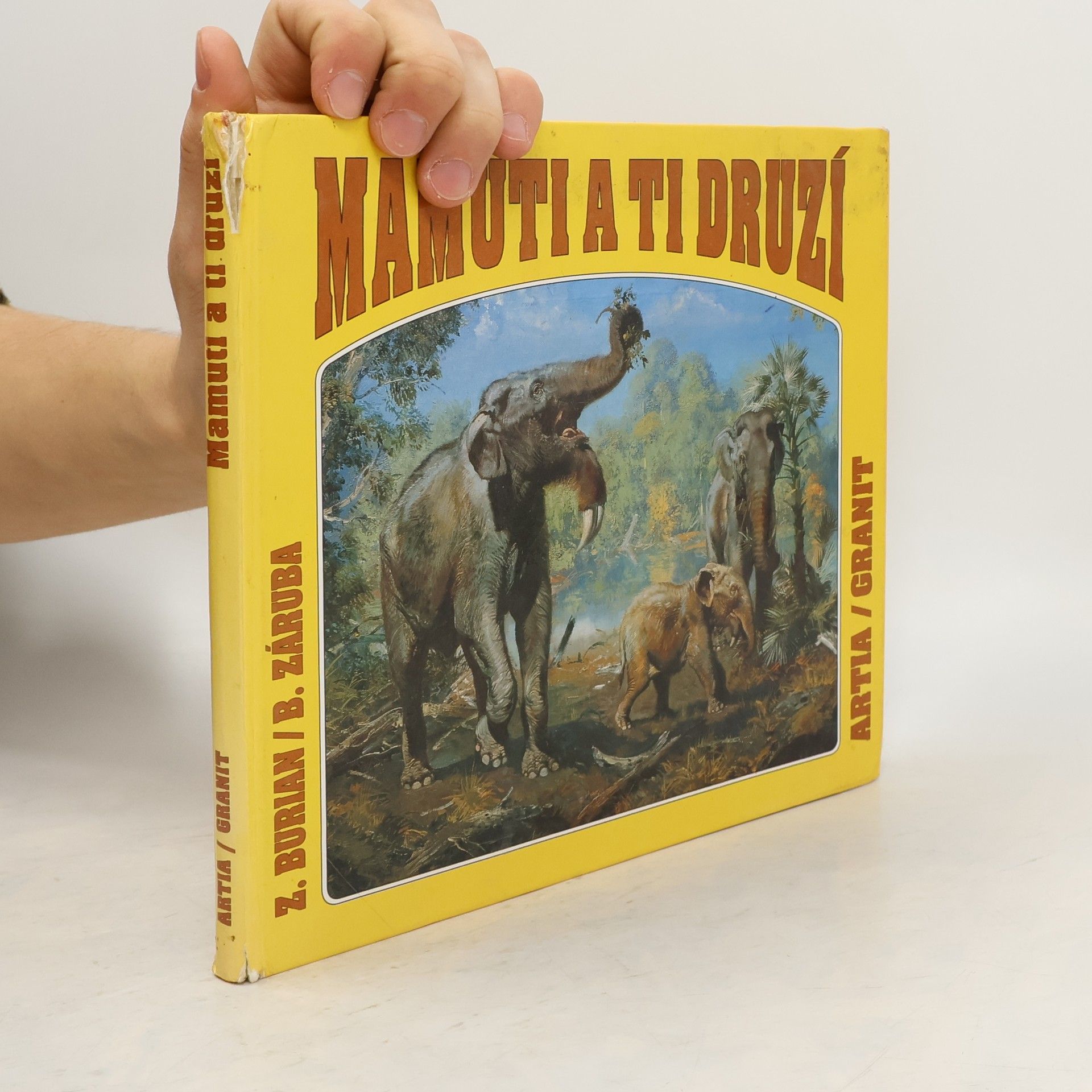 Bořivoj Záruba Mamuti a ti druzí