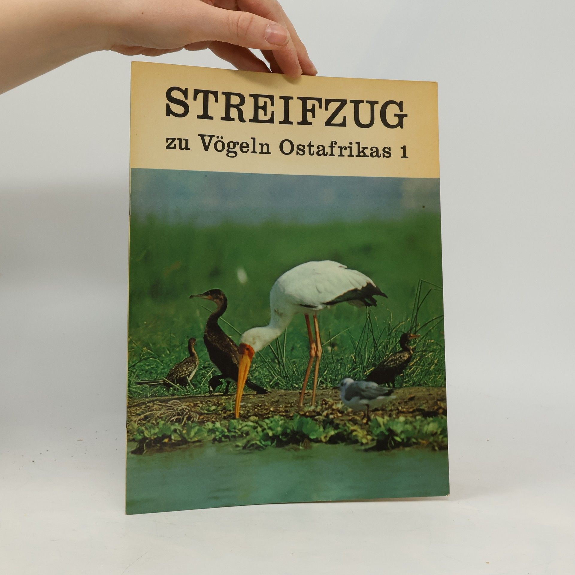 Streifzug zu Vögeln Ostafrikas 1