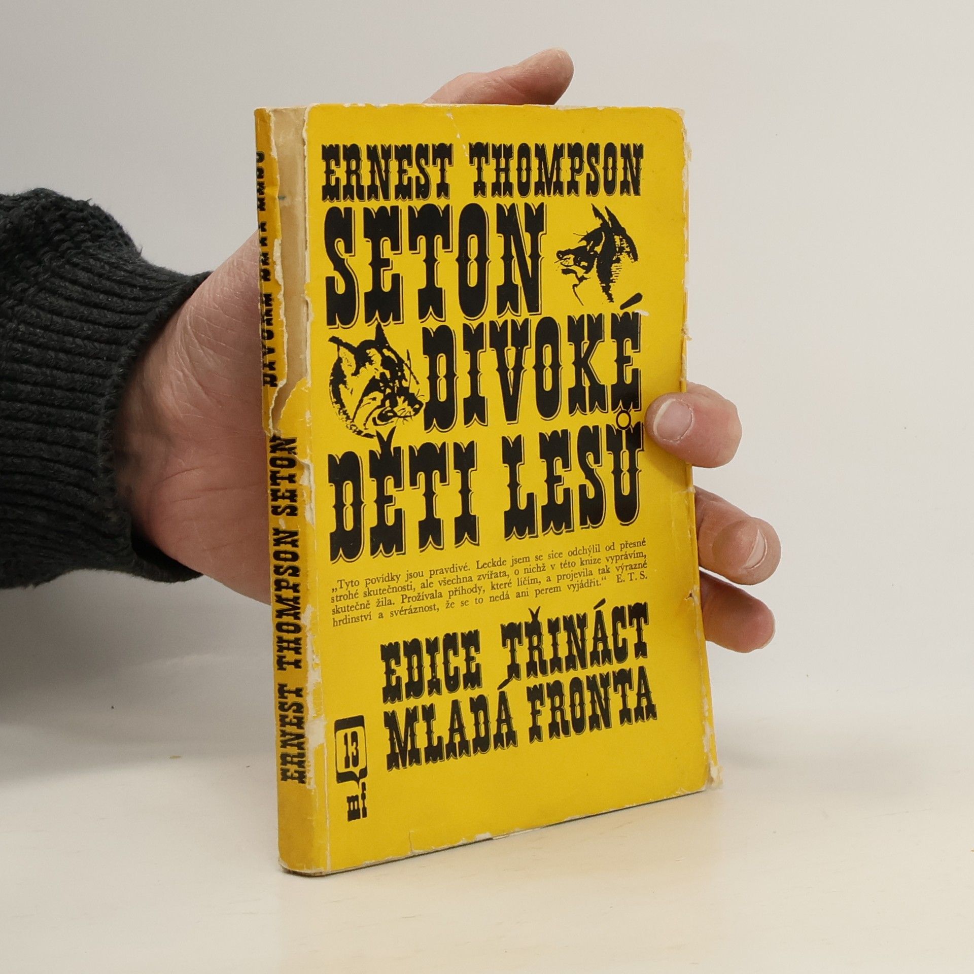 Ernest Thompson Seton Divoké děti lesů