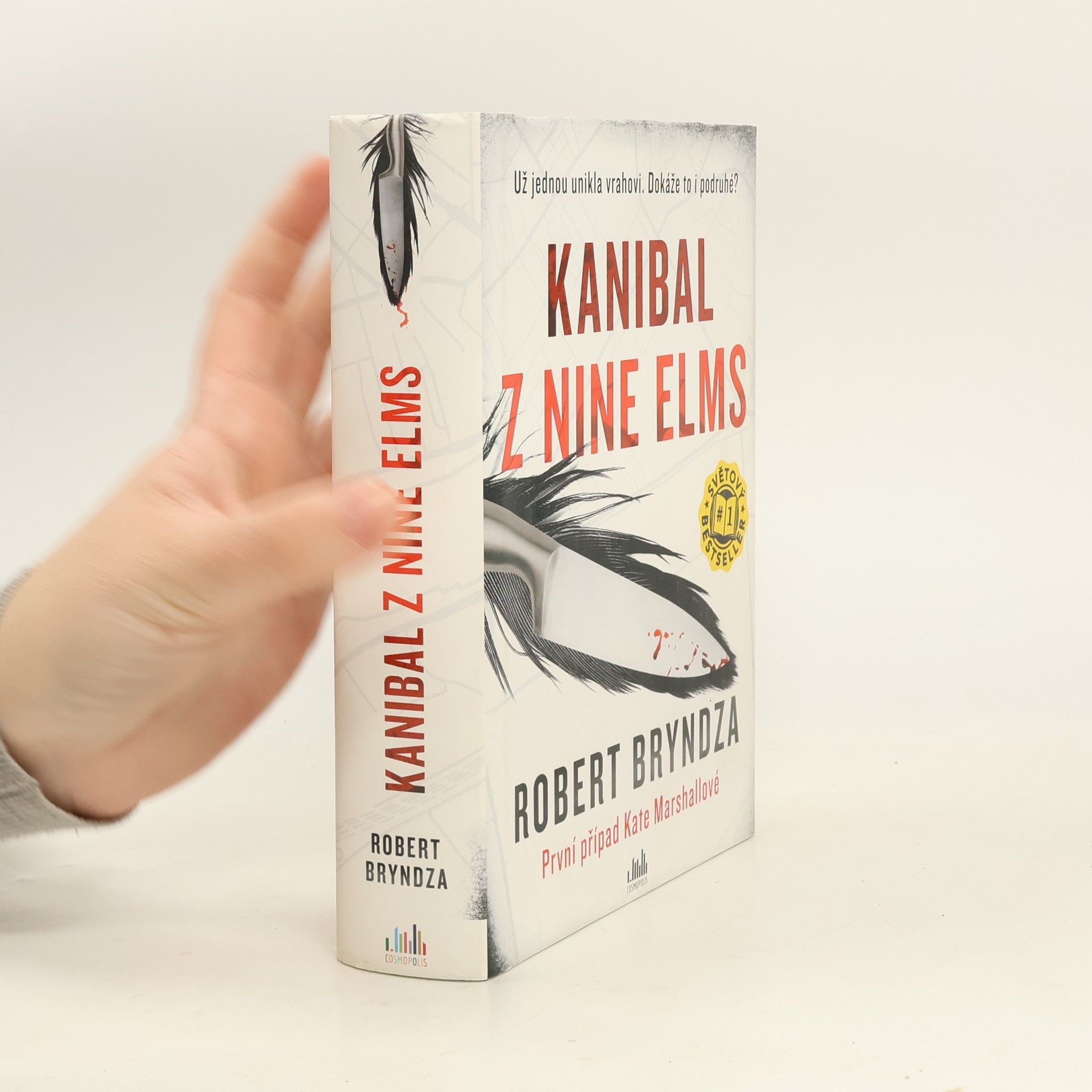 Robert Bryndza Kanibal z Nine Elms