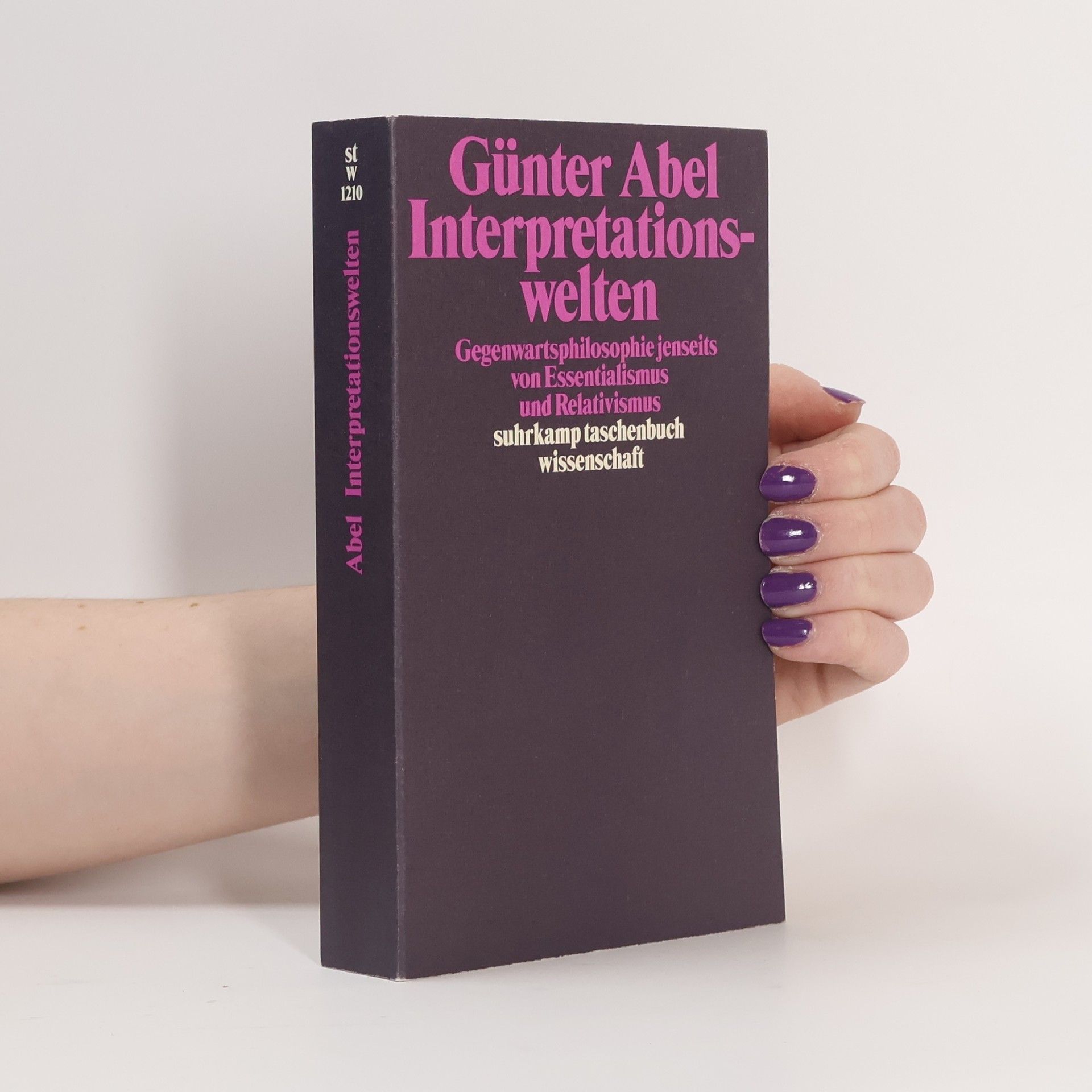 Günter Abel Interpretationswelten