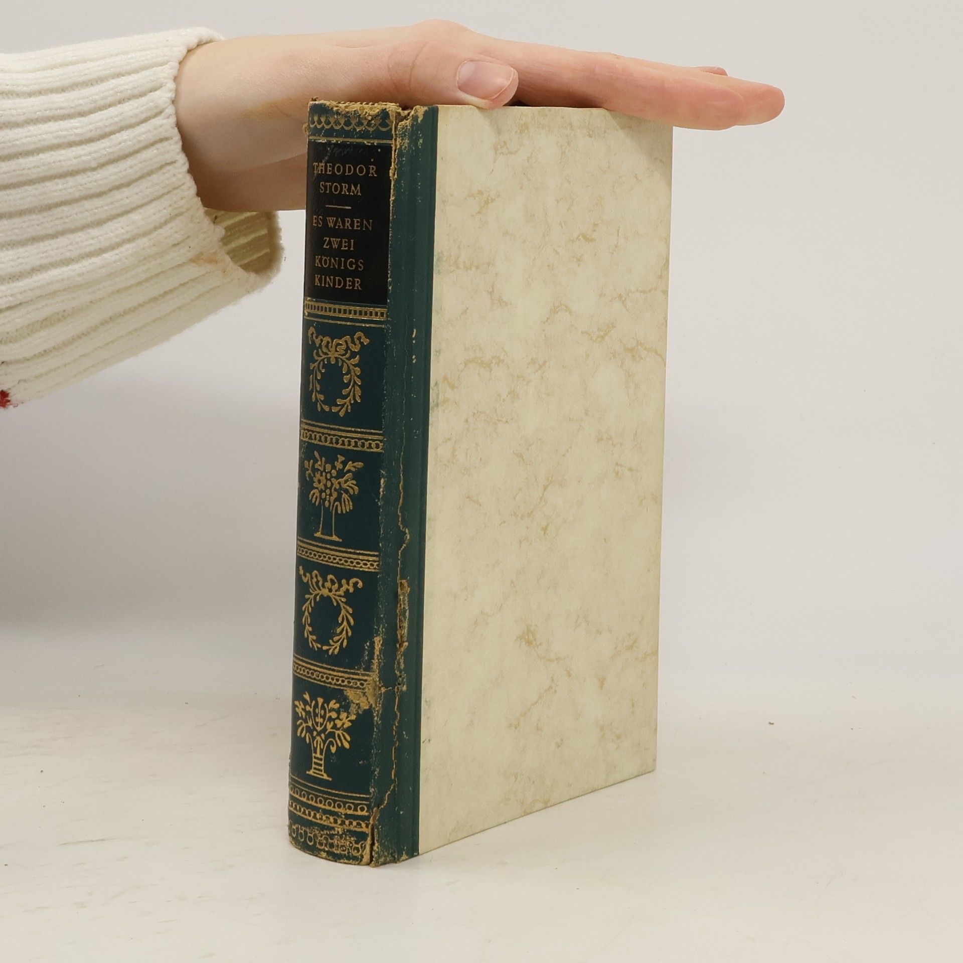 Theodor Storm Es waren zwei Königskinder