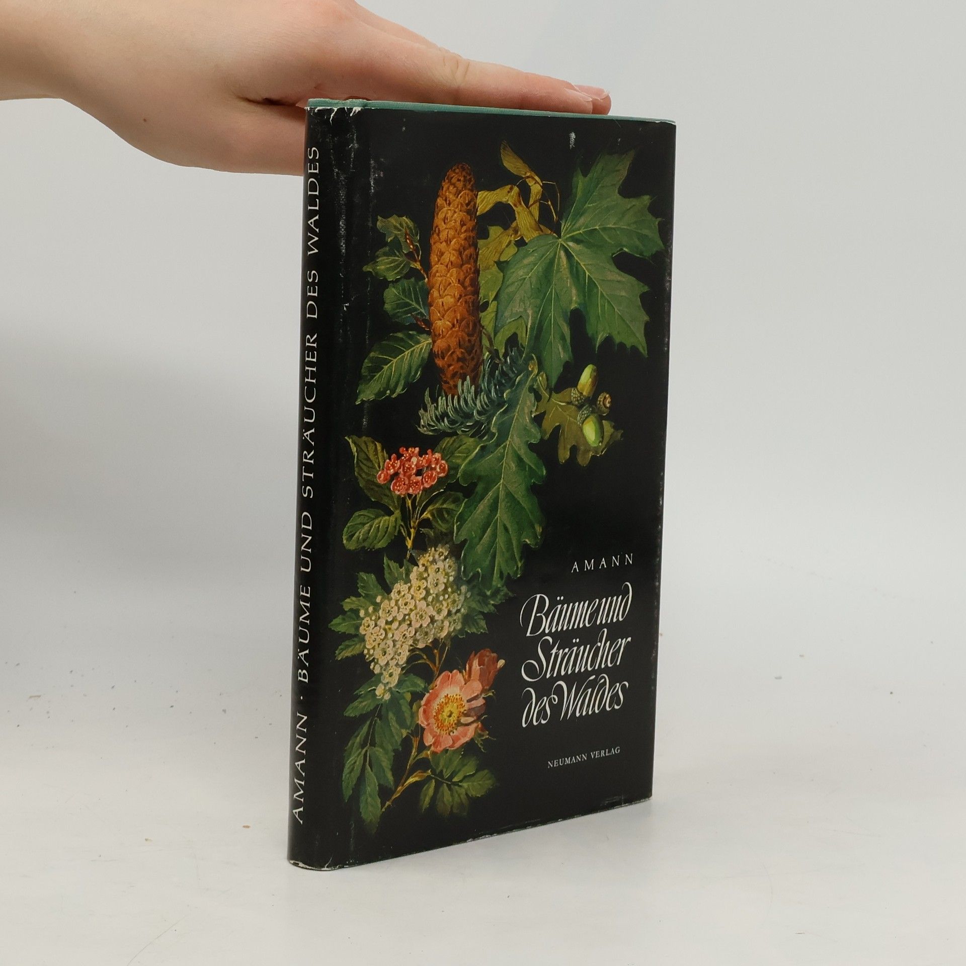 Gottfried Amann Bäume und Sträucher des Waldes