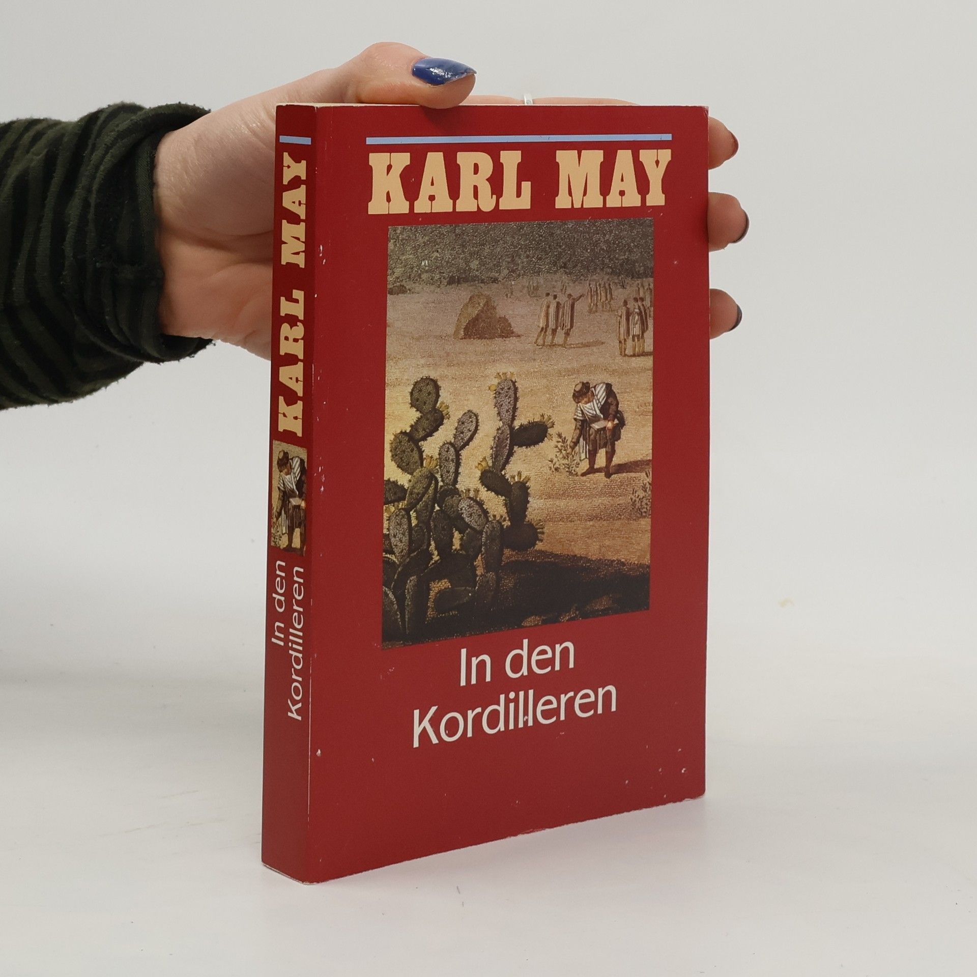 Karl May In den kordilleren
