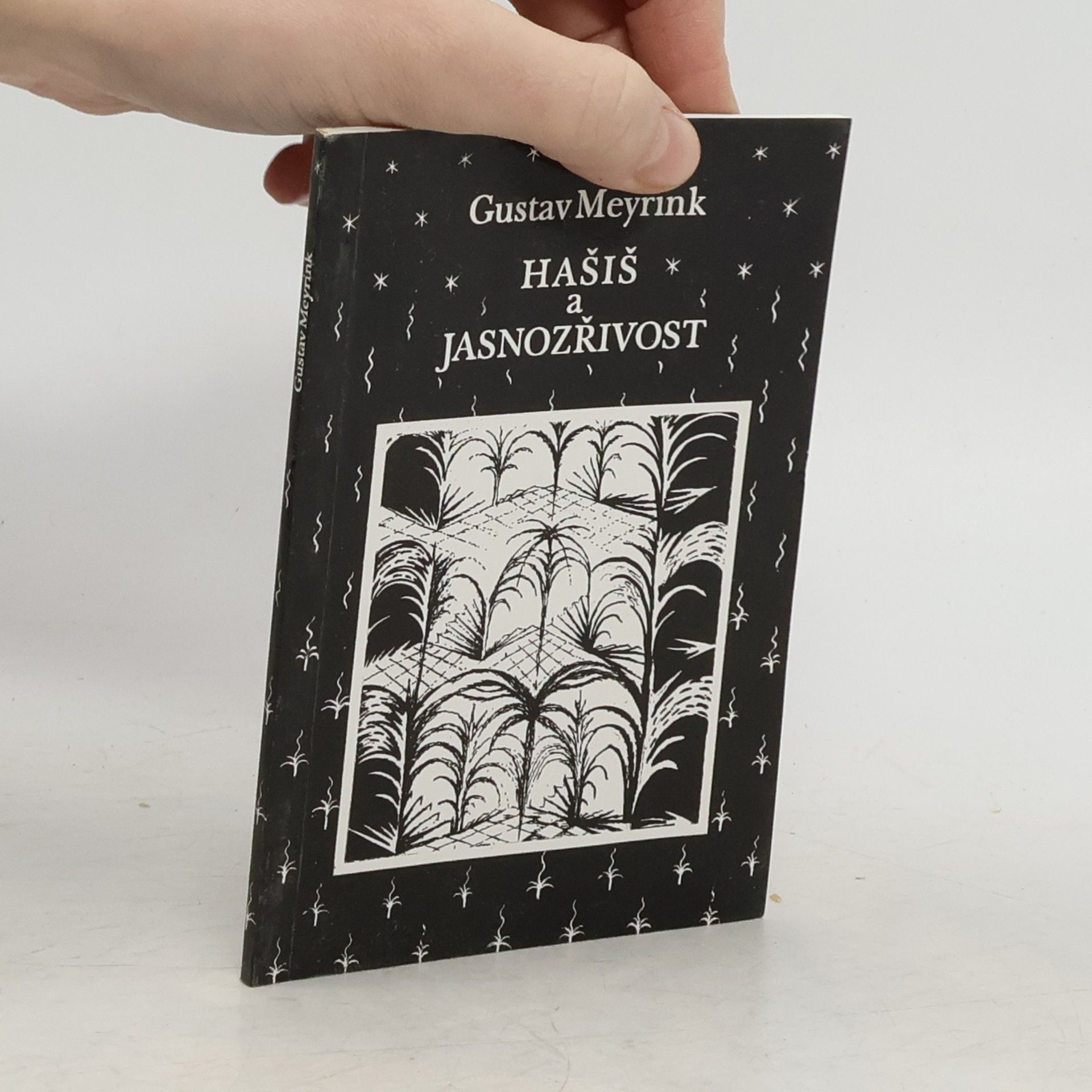 Gustav Meyrink Hašiš a jasnozřivost