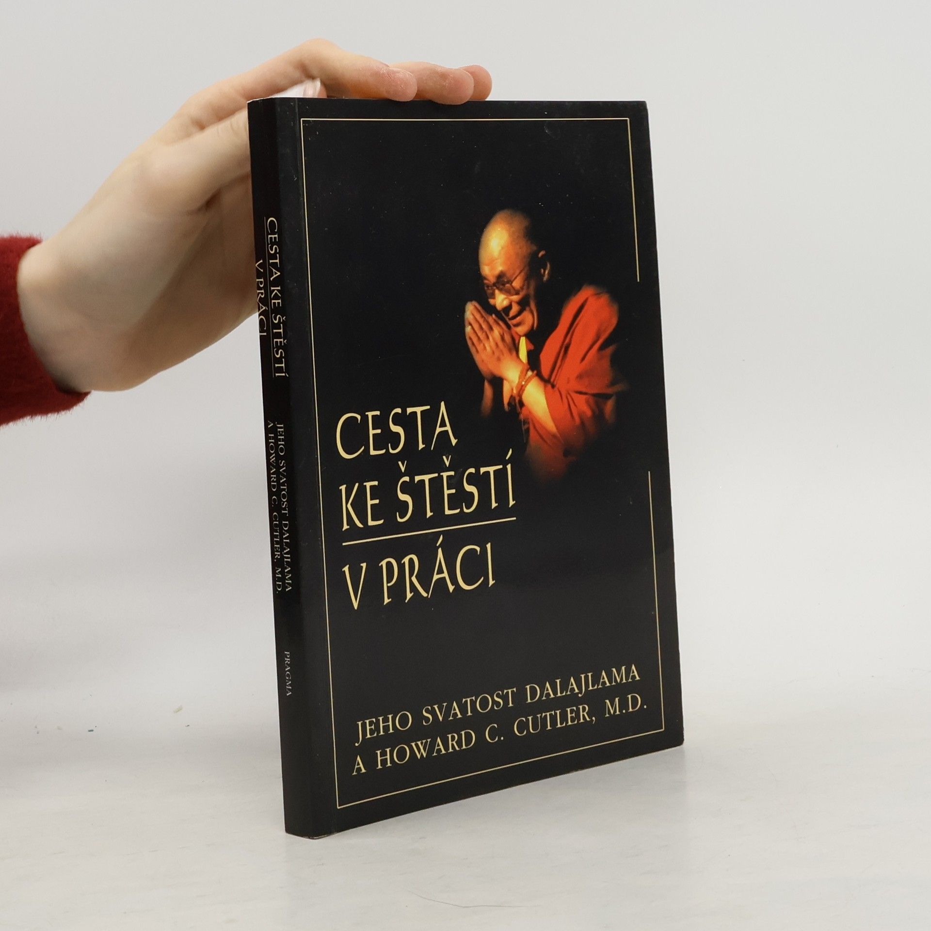 Bstan\'dzinrgyamtsho Cesta ke štěstí v práci