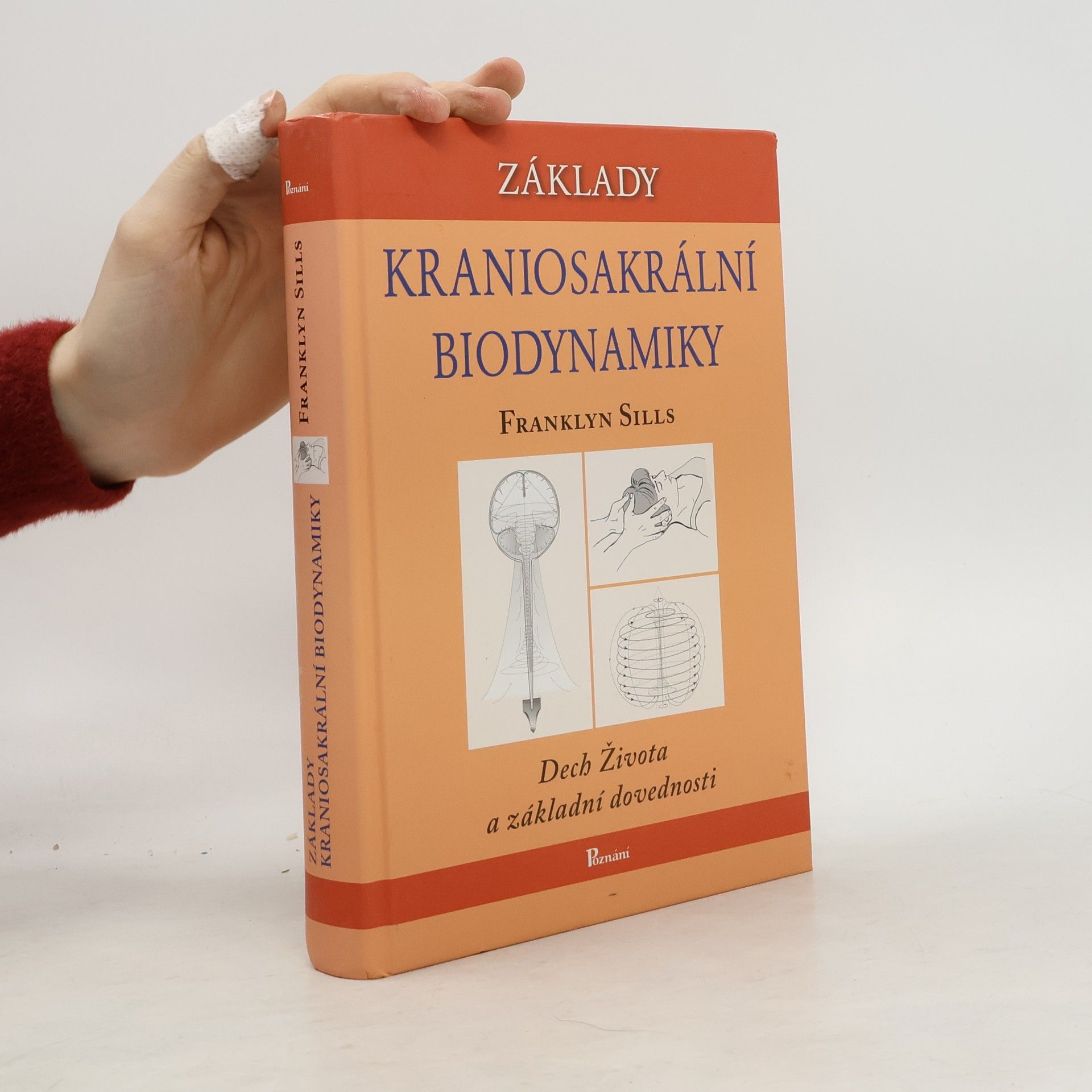Základy kraniosakrální biodynamiky