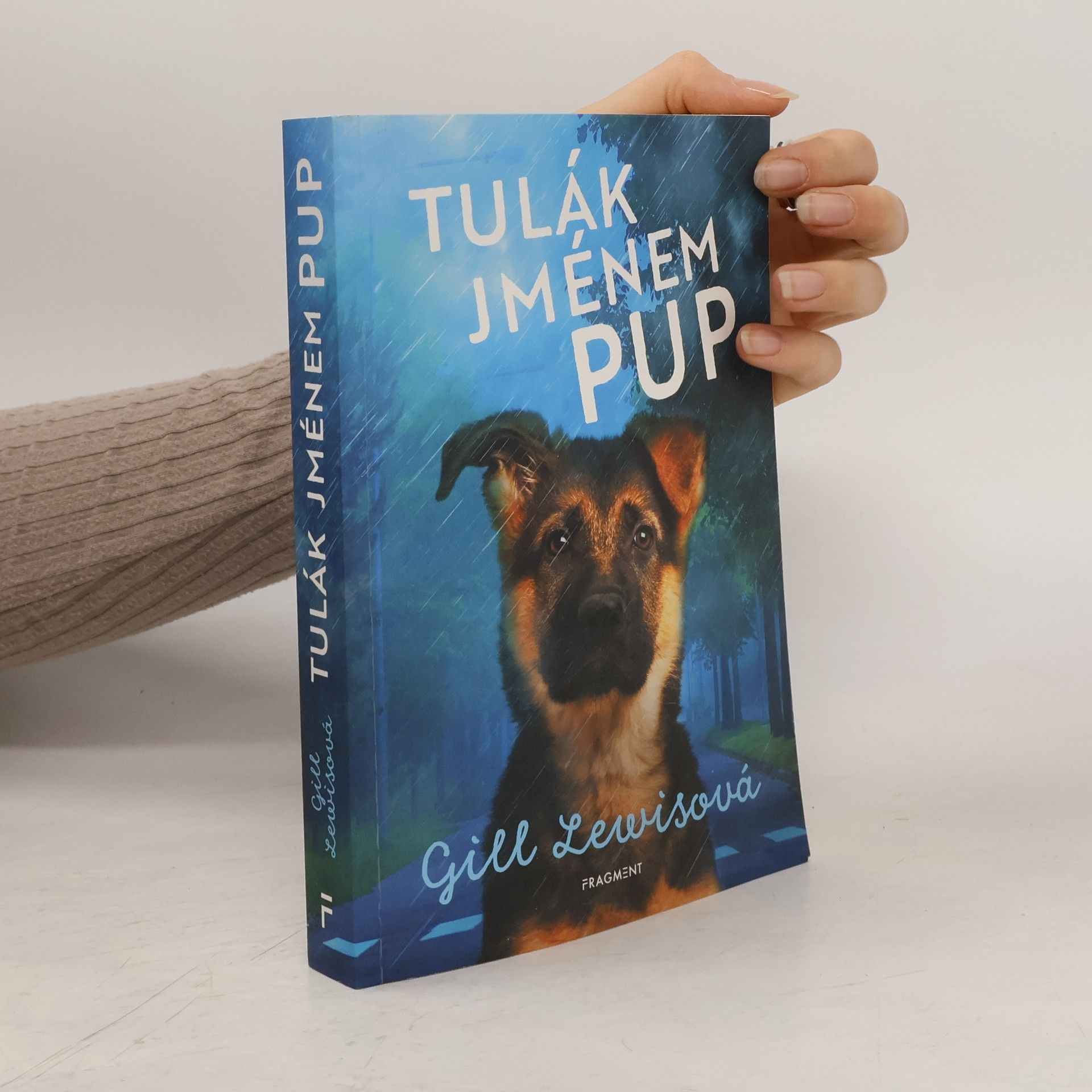 Gill Lewis Tulák jménem Pup