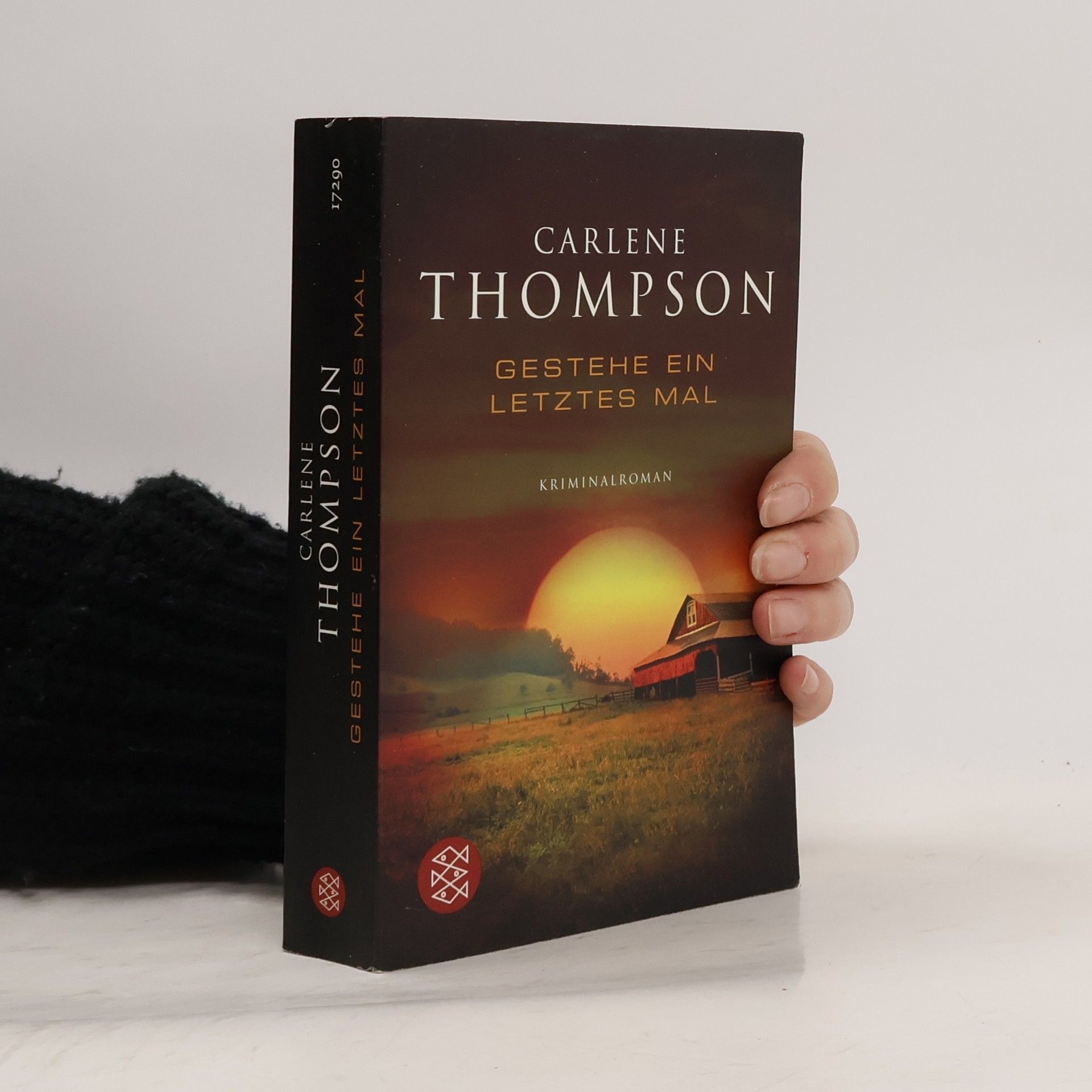 Carlene Thompson Gestehe ein letztes Mal