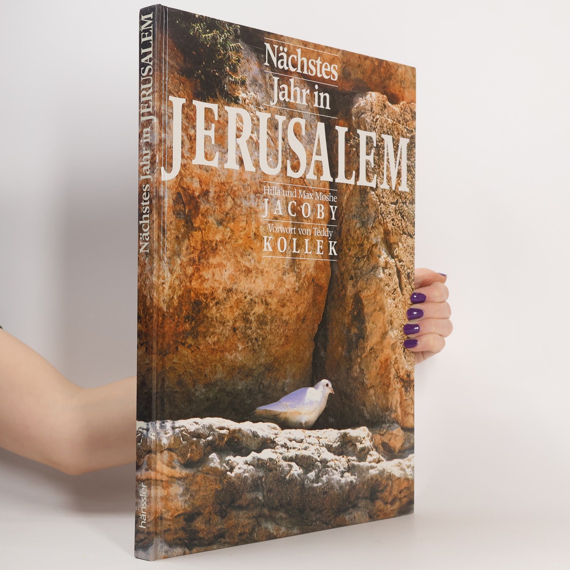 Nächstes Jahr in Jerusalem
