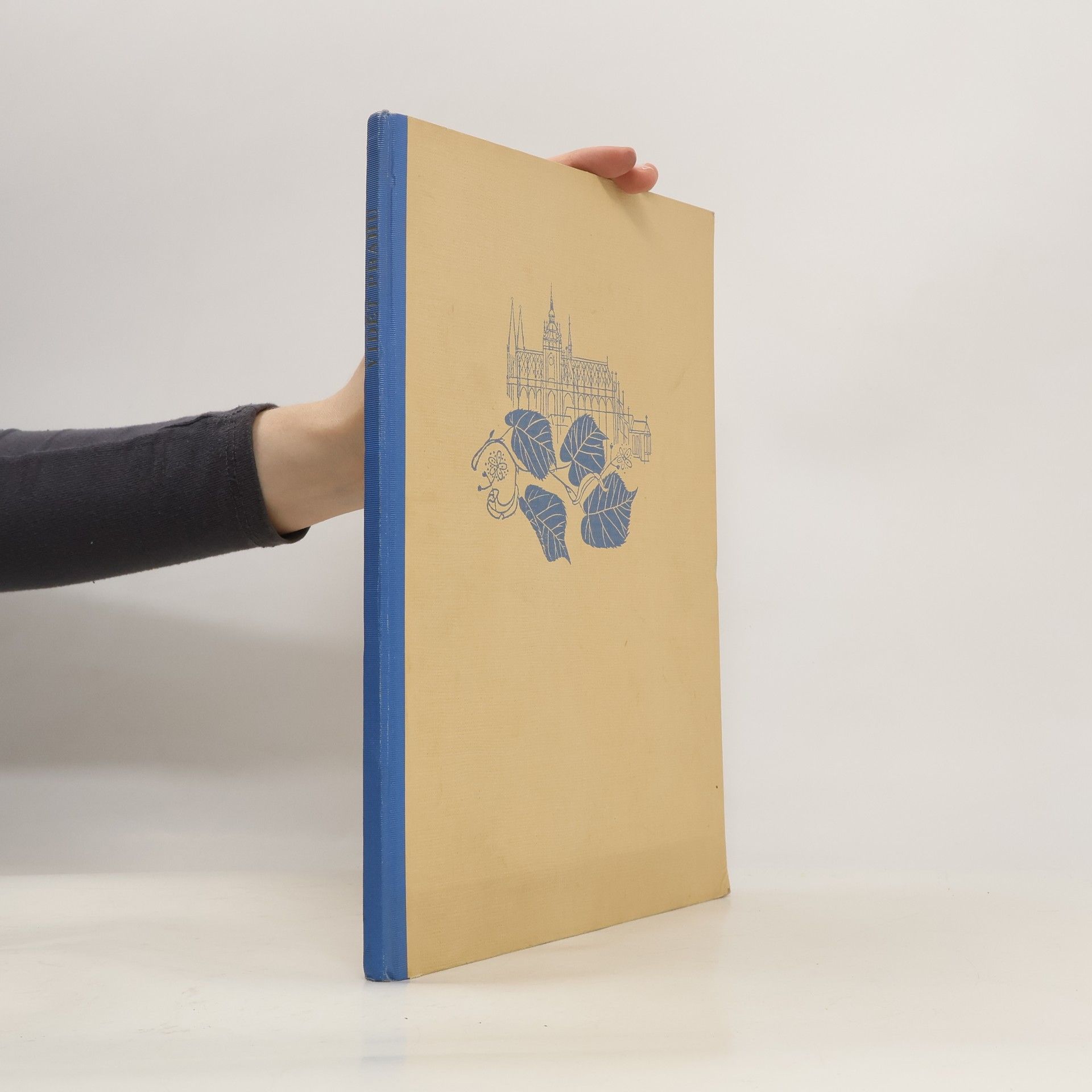 František Dvořák Vidět Prahu