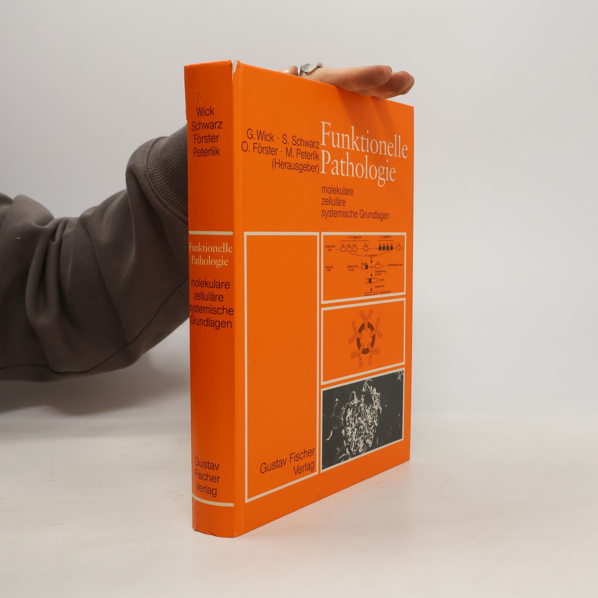 Funktionelle Pathologie