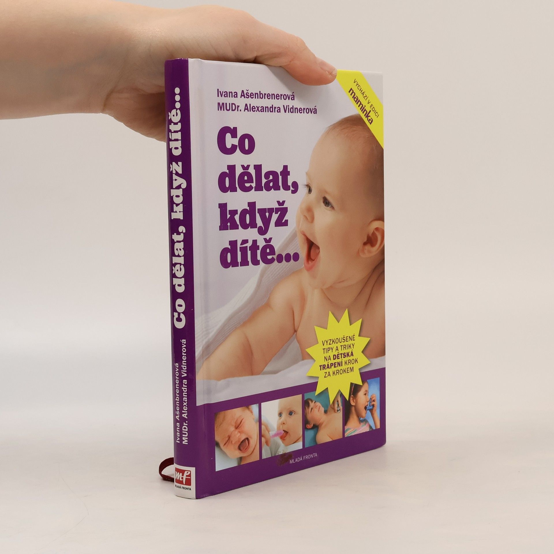 Ivana Ašenbrenerová Co dělat, když dítě...