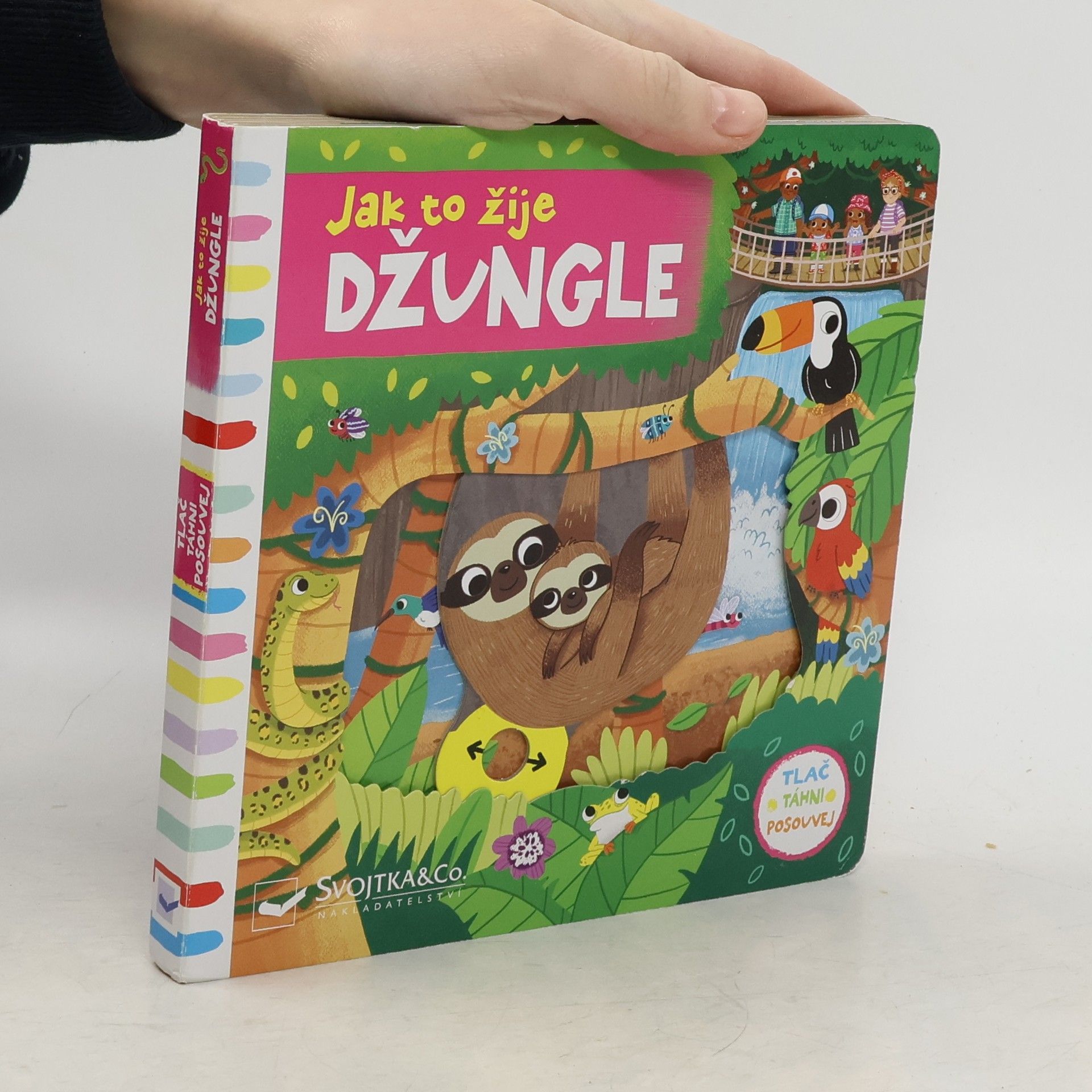 Louise Forshaw Jak to žije - džungle