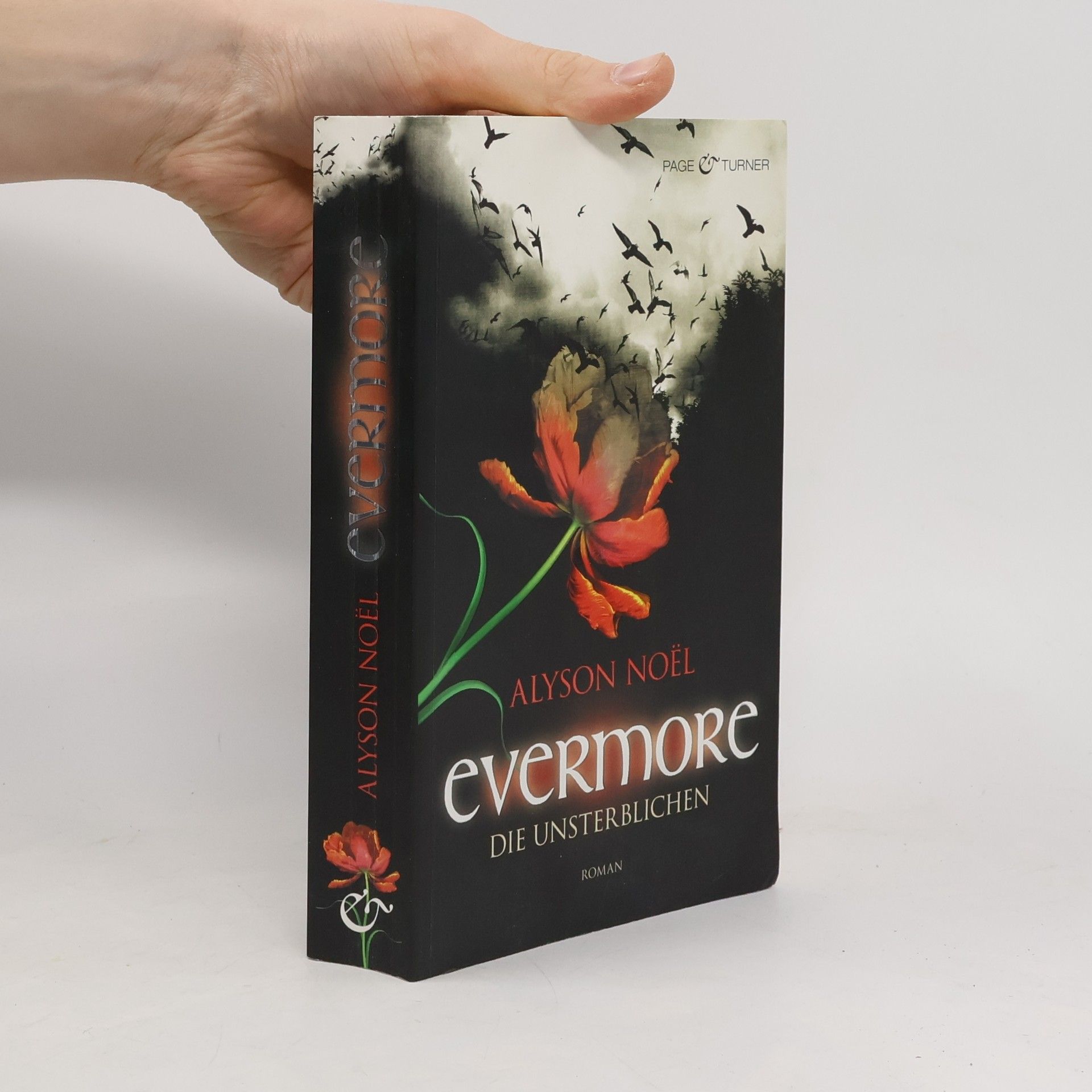 Alyson Noë͏l Evermore 1