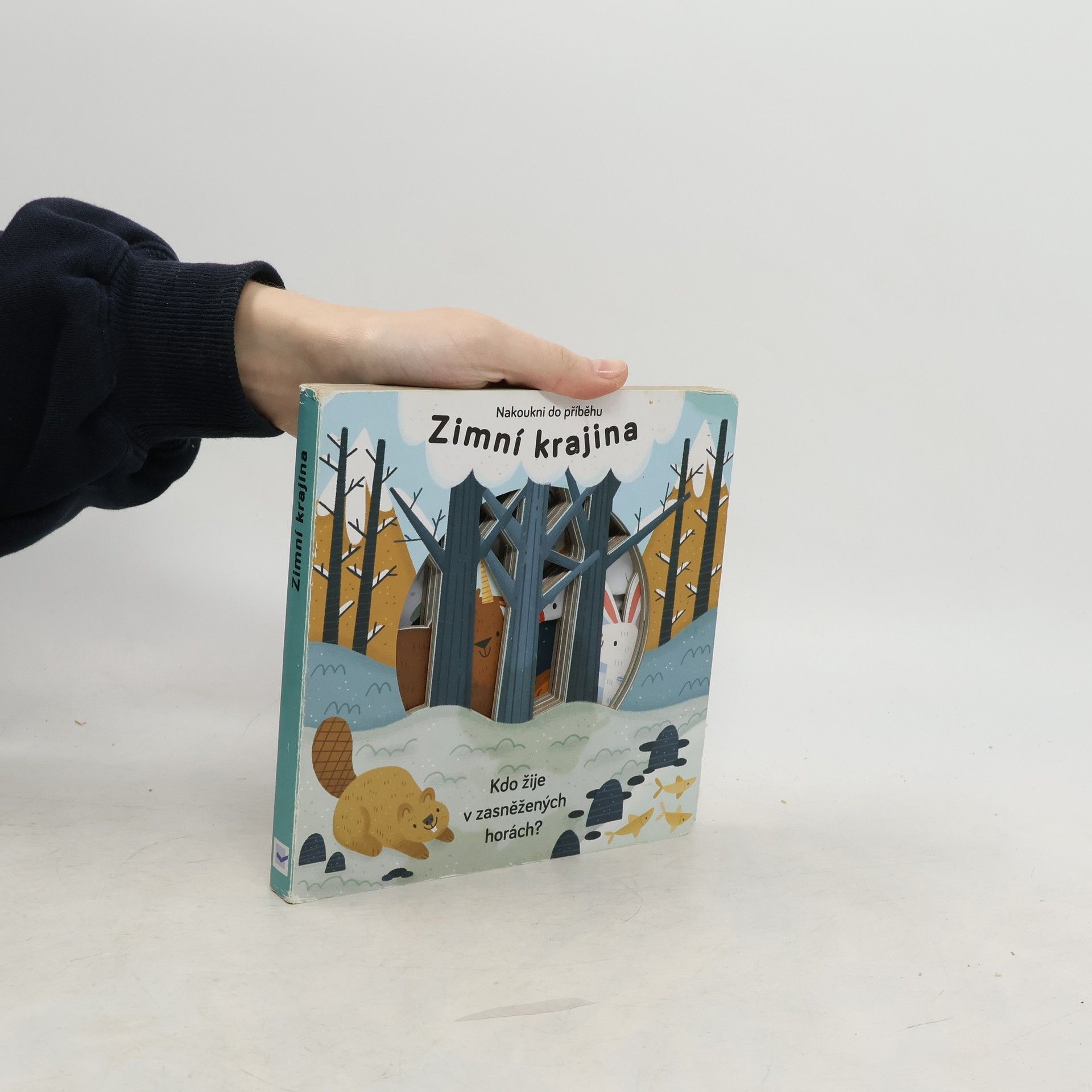 Zimní krajina. Kdo žije v zasněžených horách?