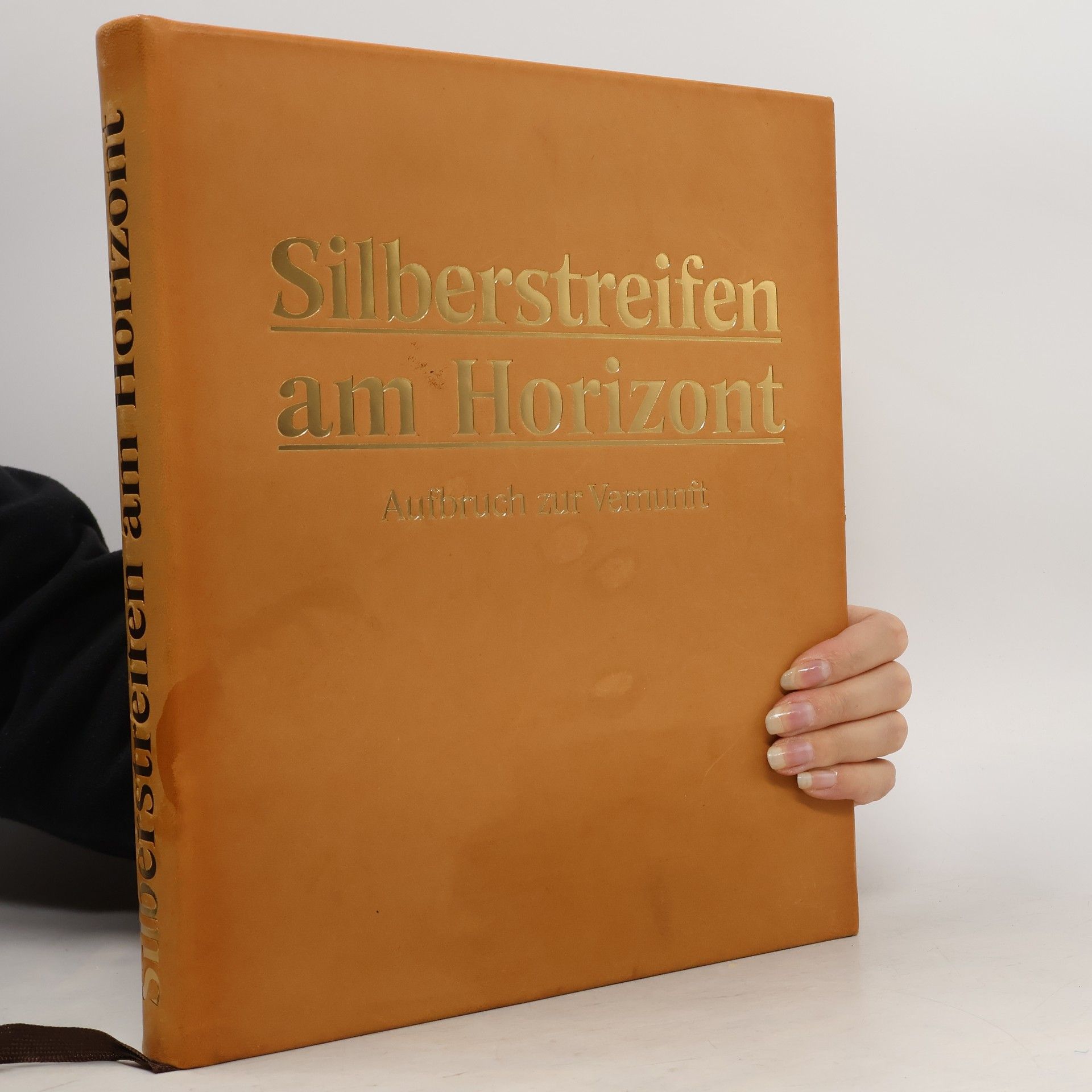 Autorenkollektiv Silberstreifen am Horizont. Aufbruch zur Vernunft