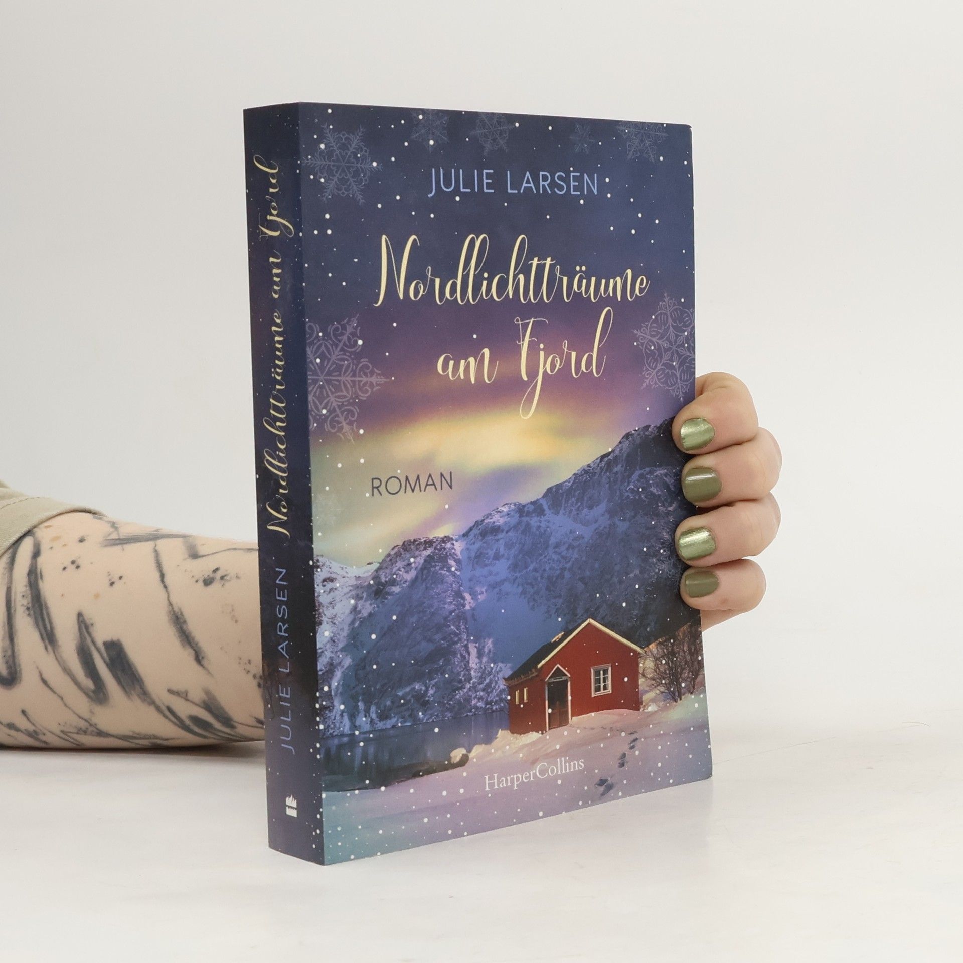 Julie Larsen Nordlichtträume am Fjord