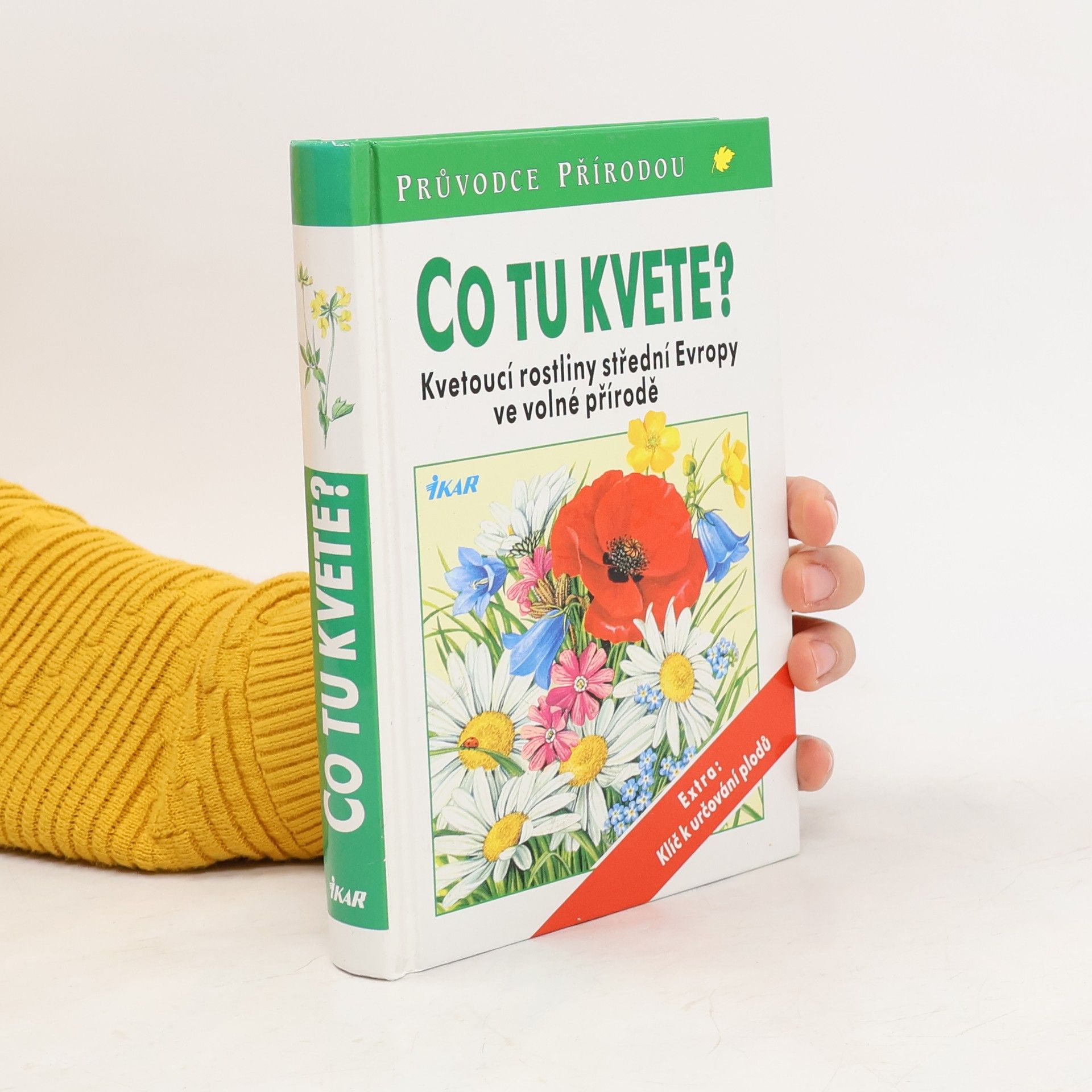 Dietmar Aichele Co tu kvete?