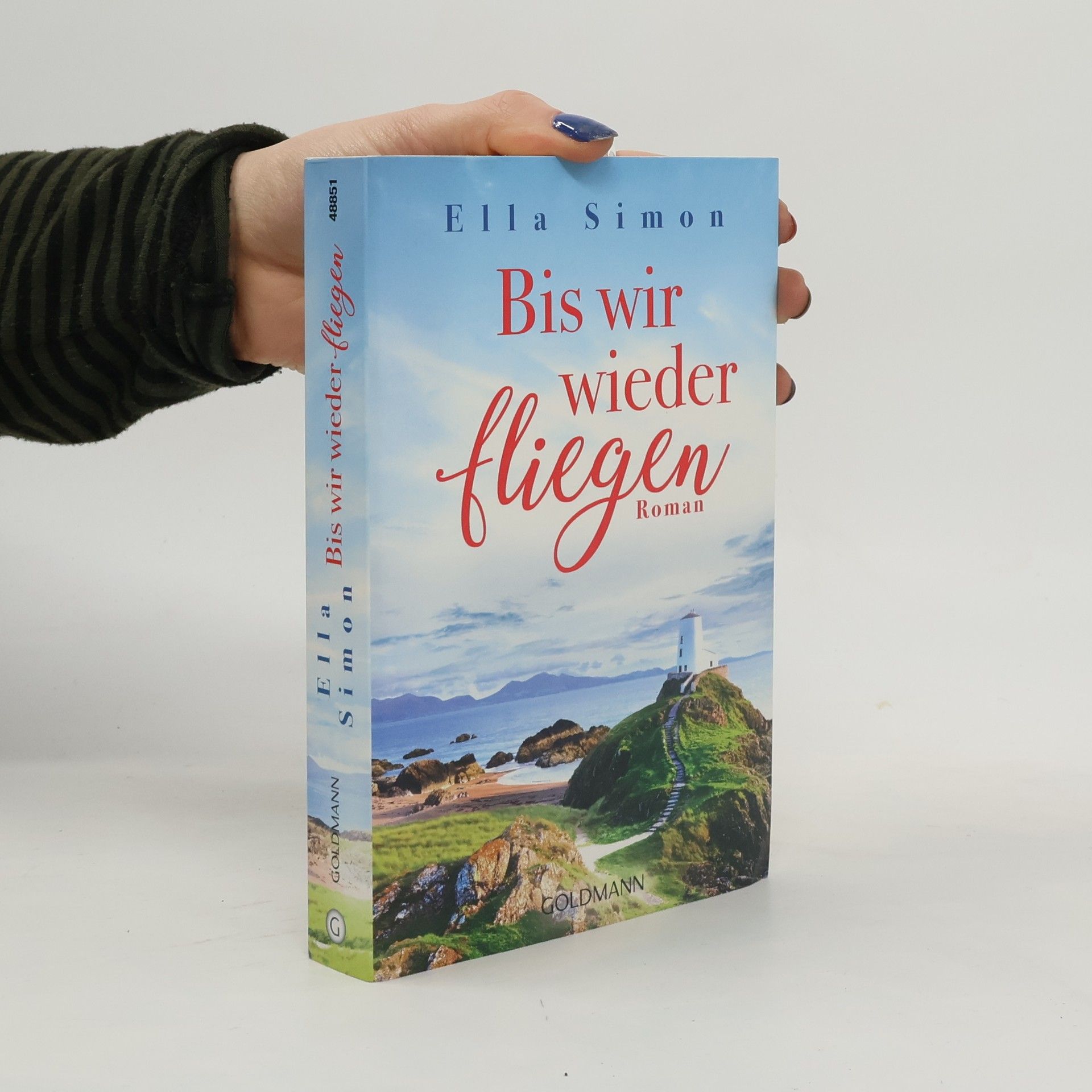 Bis wir wieder fliegen