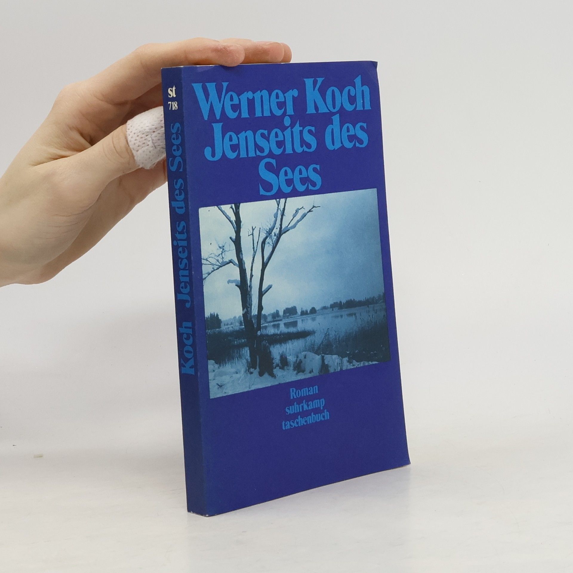 Werner Koch Jenseits des Sees. Roman