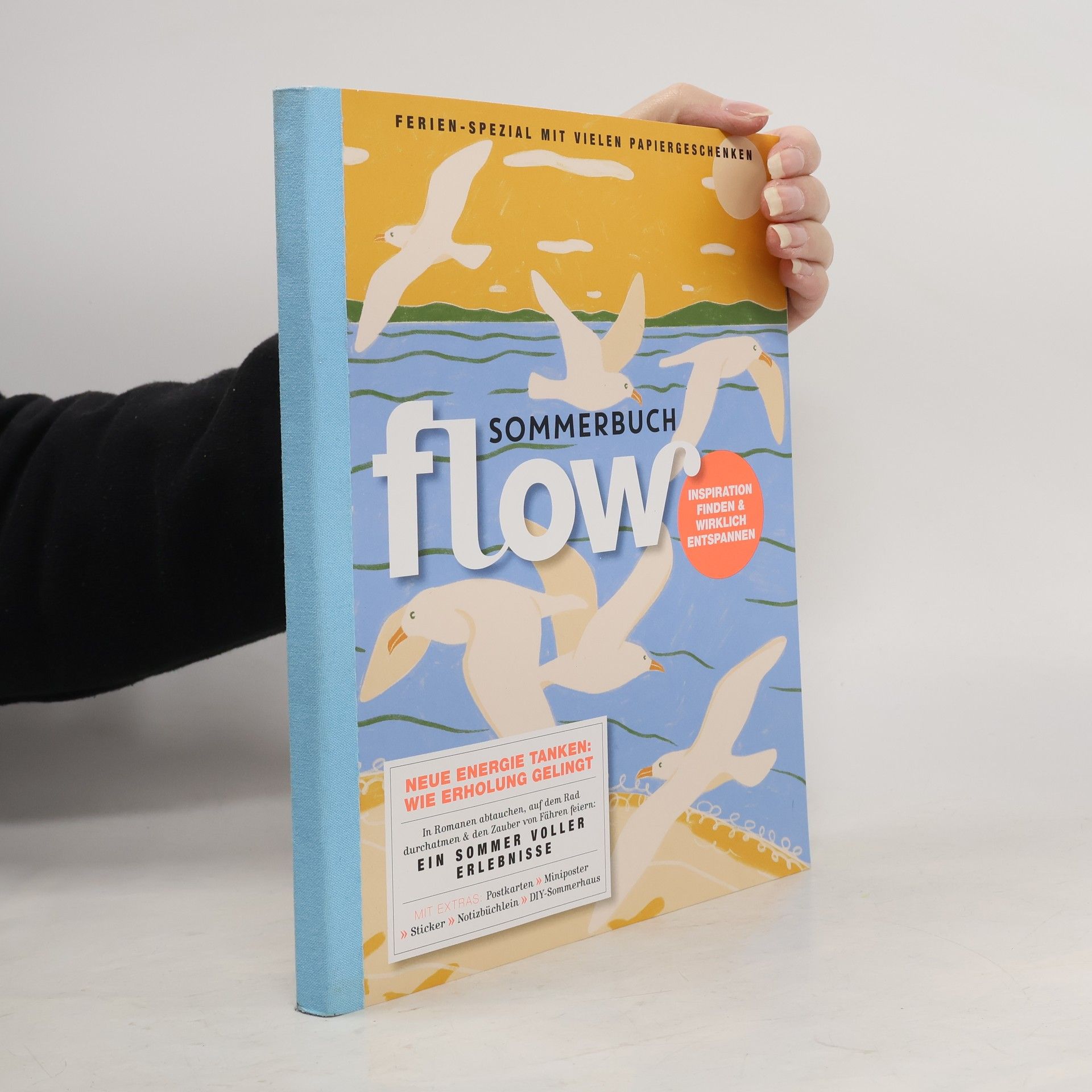 Collectif d'auteurs Flow Spezial 1/2025. Sommerbuch