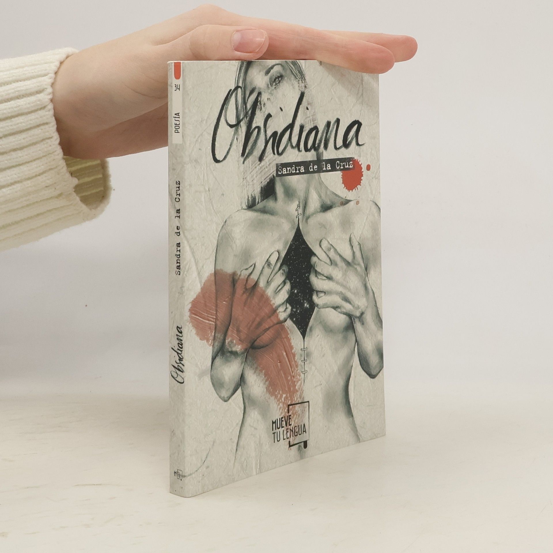 Sandra de la Cruz Obsidiana