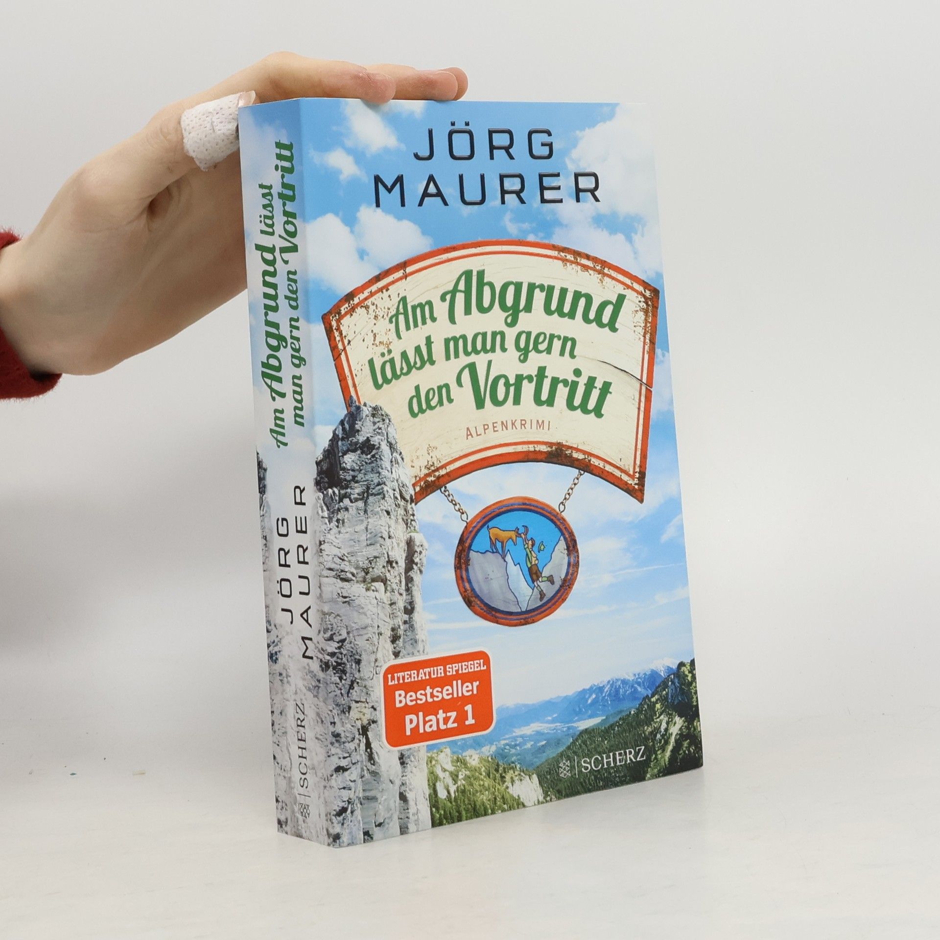 Jörg Maurer Am Abgrund lässt man gern den Vortritt