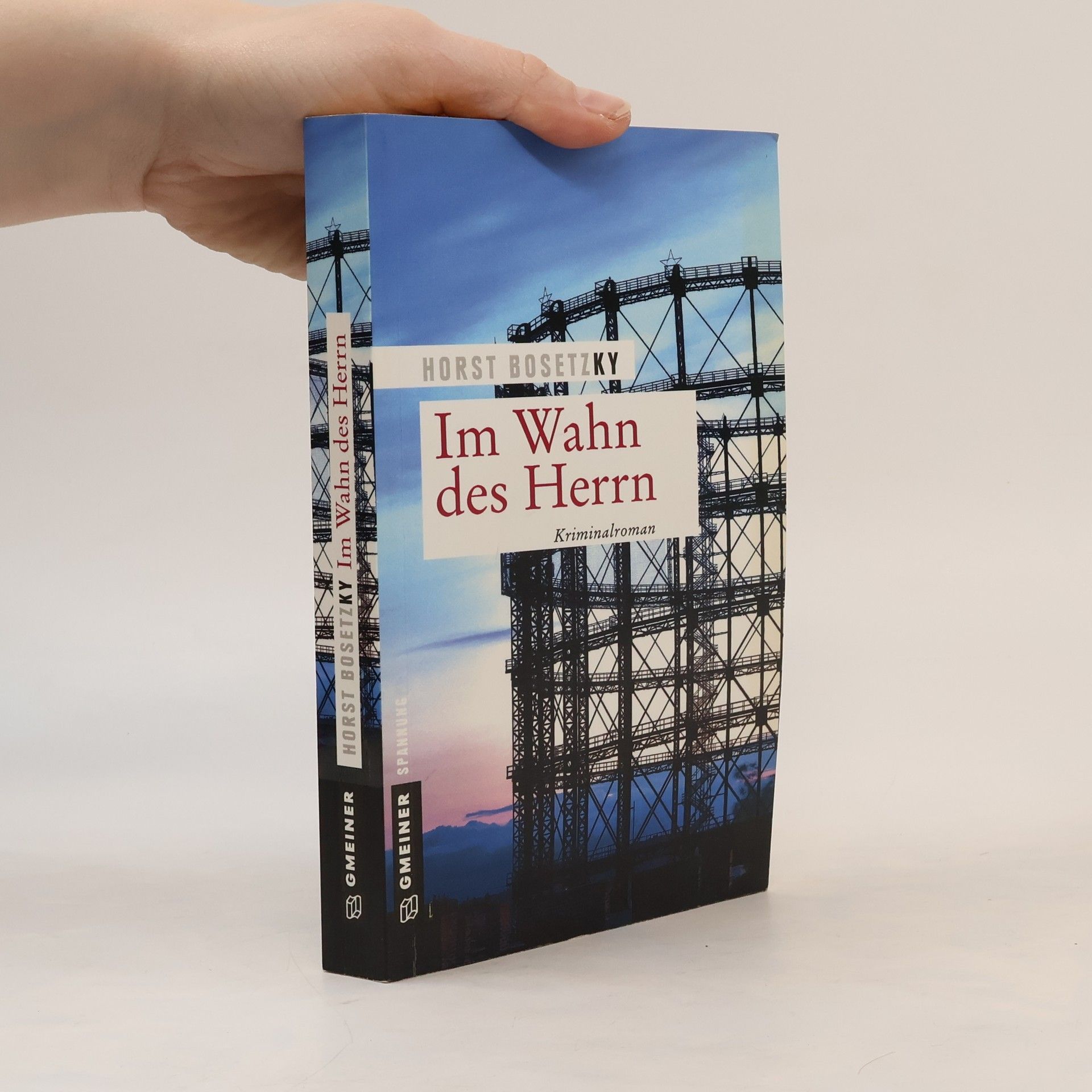 Horst Bosetzky Im Wahn des Herrn