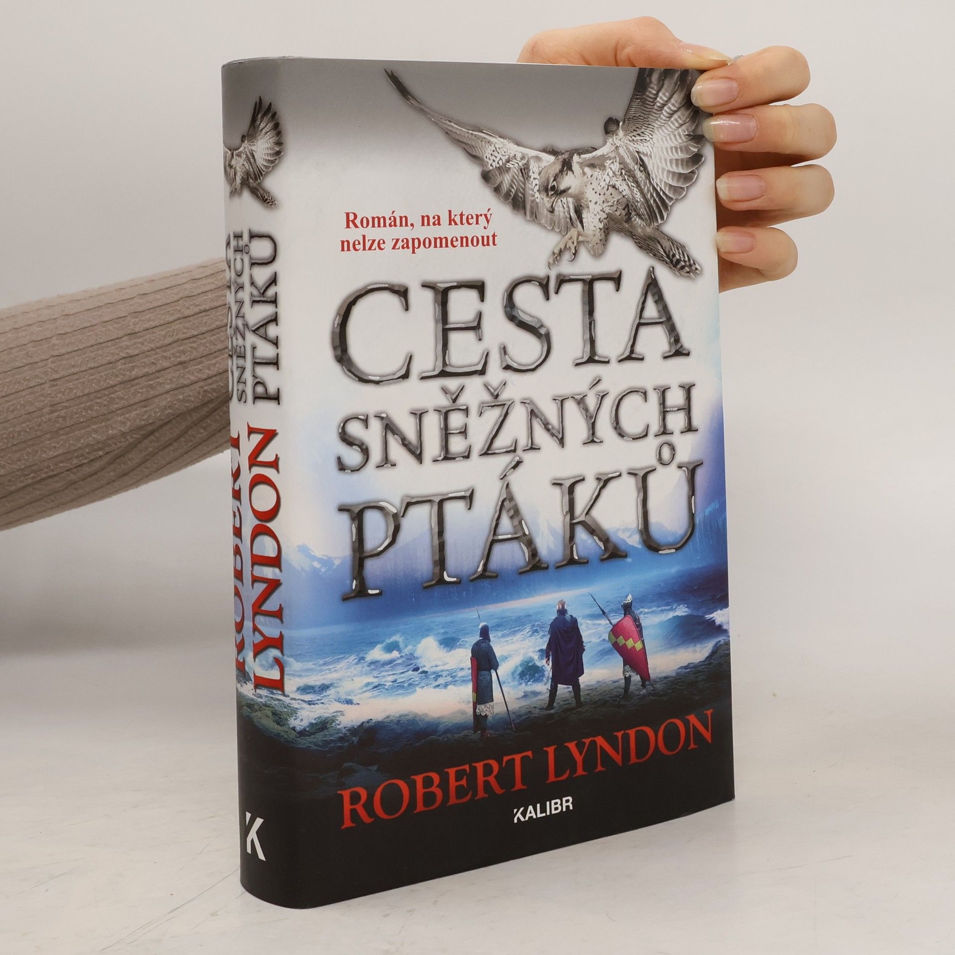 Robert Lyndon Cesta sněžných ptáků