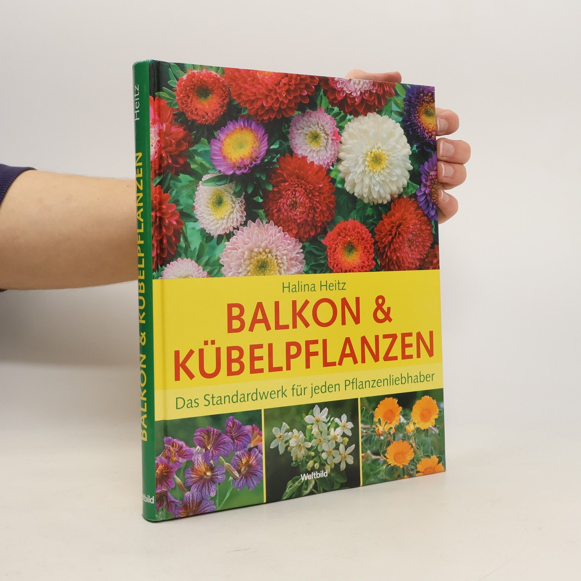 Halina Heitz Balkon- und Kübelpflanzen