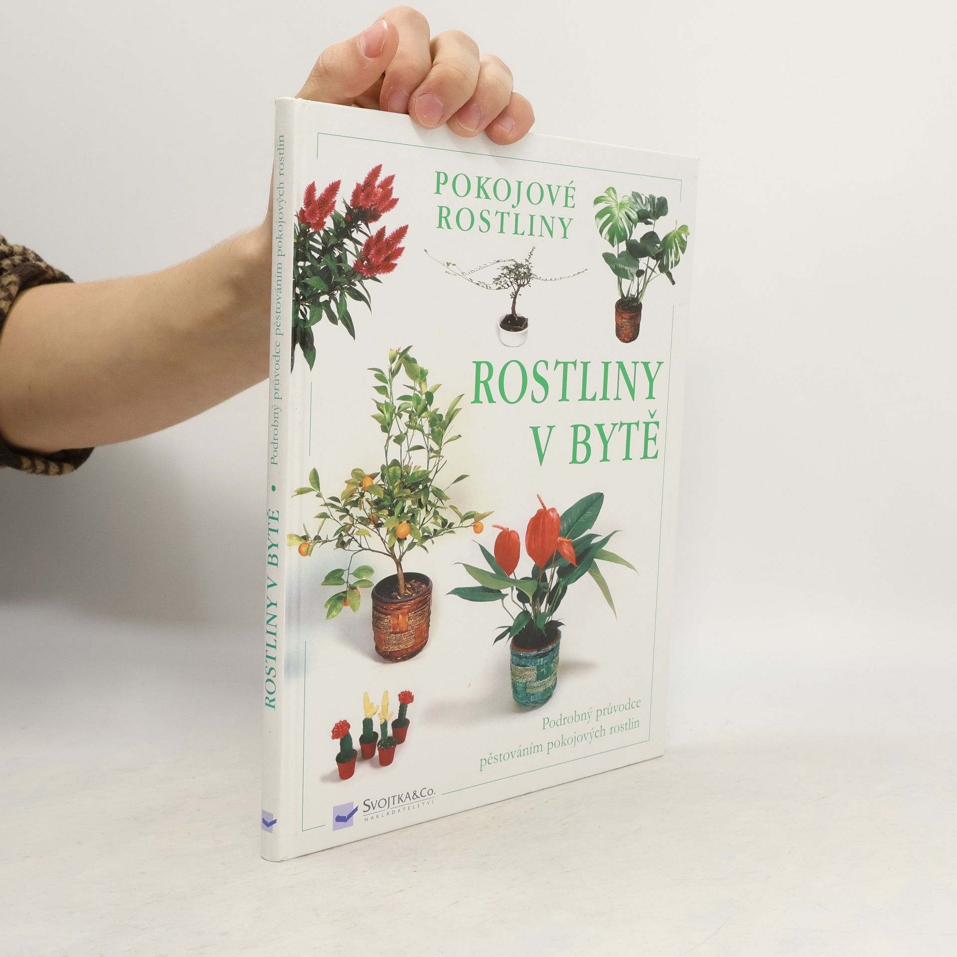 Collectif d'auteurs Rostliny v bytě. Pokojové rostliny