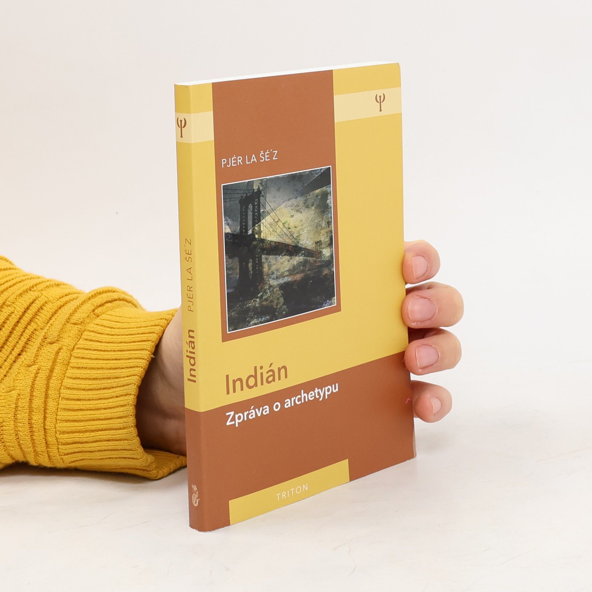 Pjér la Šéz Indián: Zpráva o archetypu