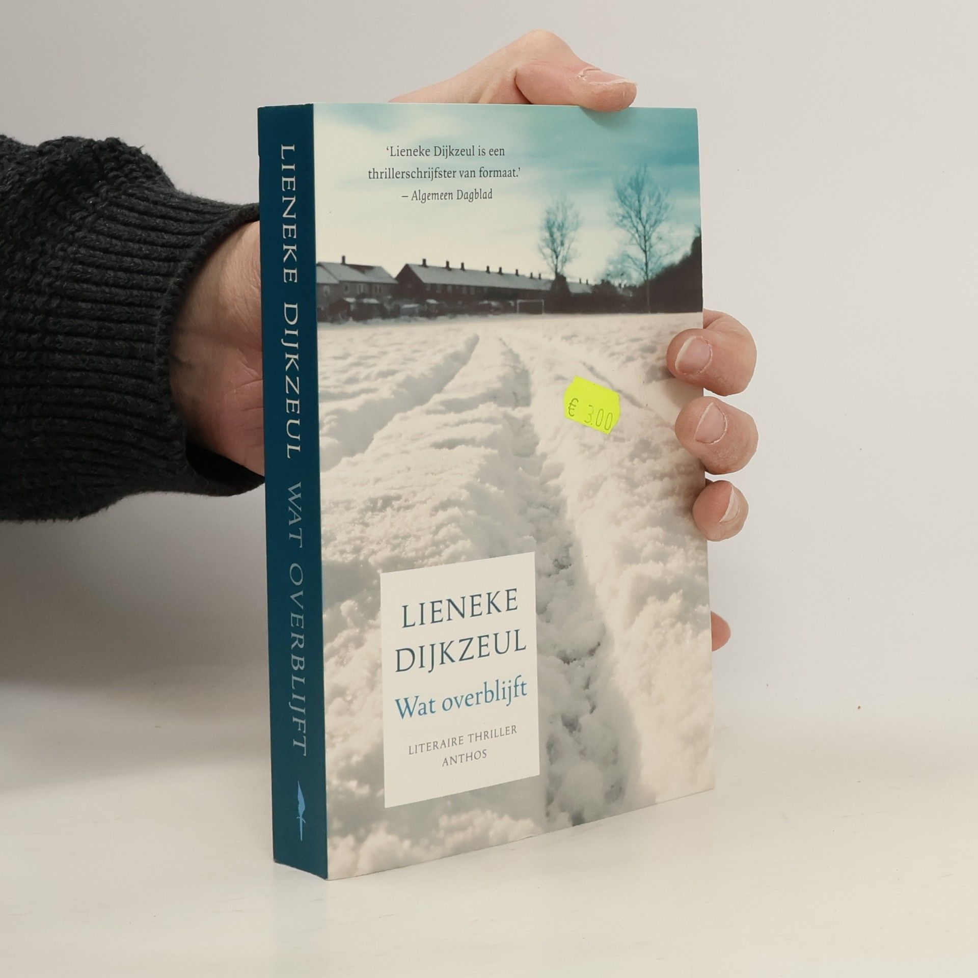 Lieneke Dijkzeul Paul Vegter - 5: Wat overblijft