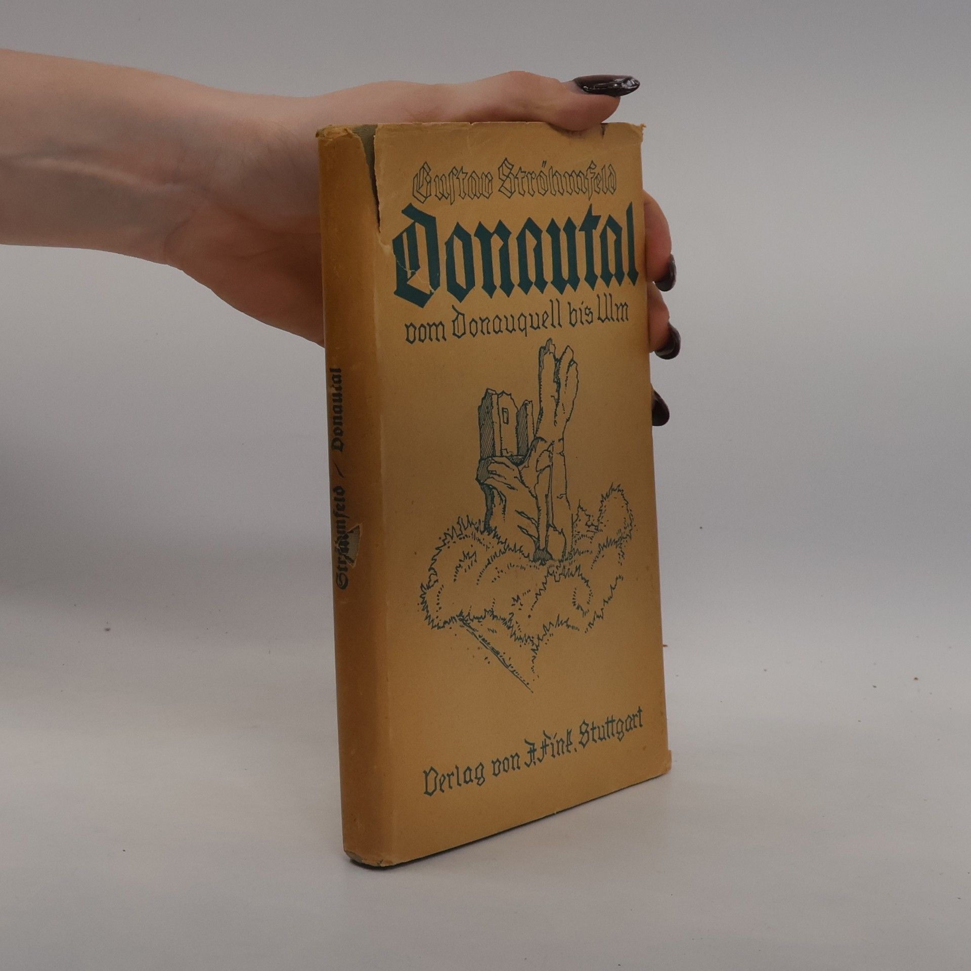 Gustav Strohmfeld Das Donautal