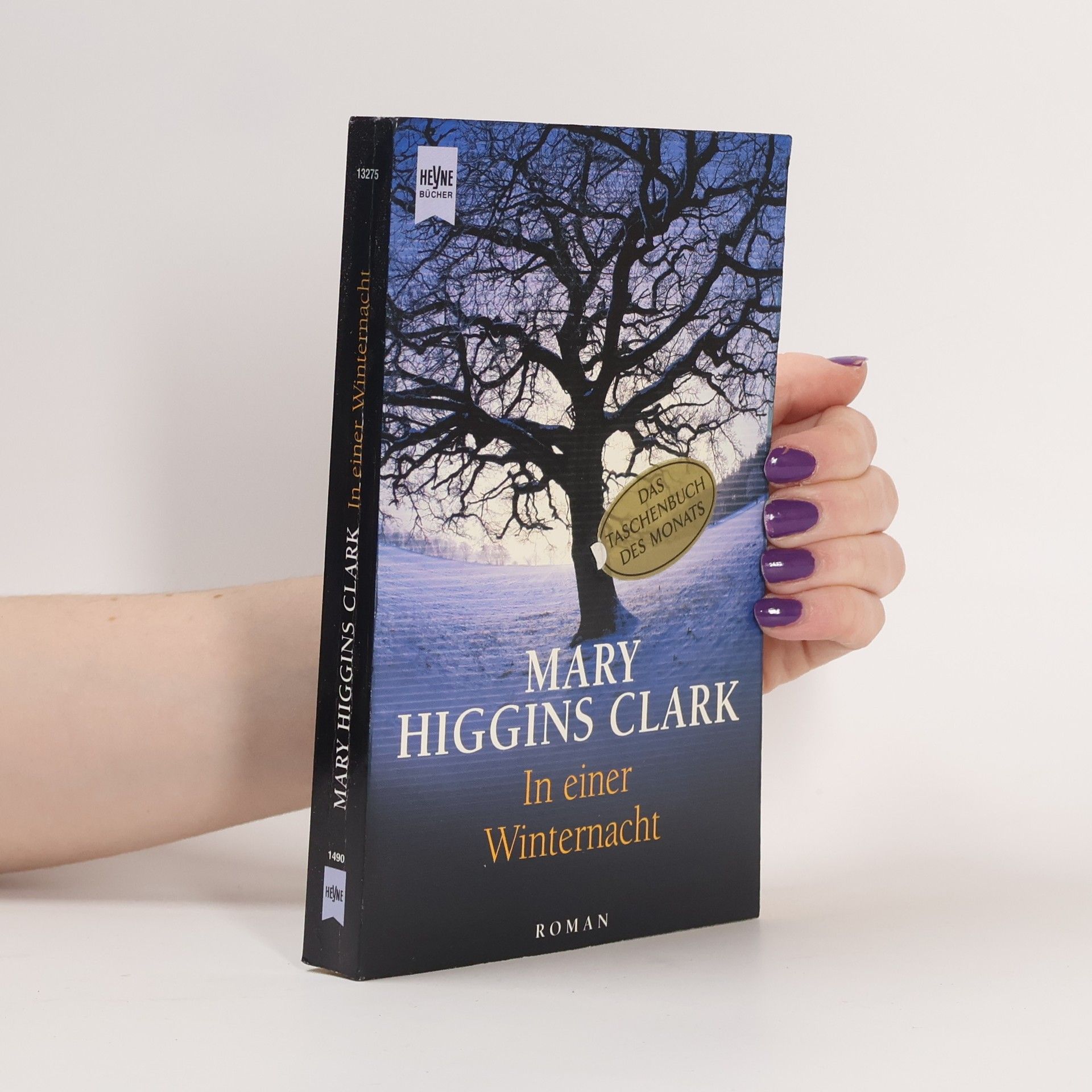 Mary Higgins Clark In einer Winternacht