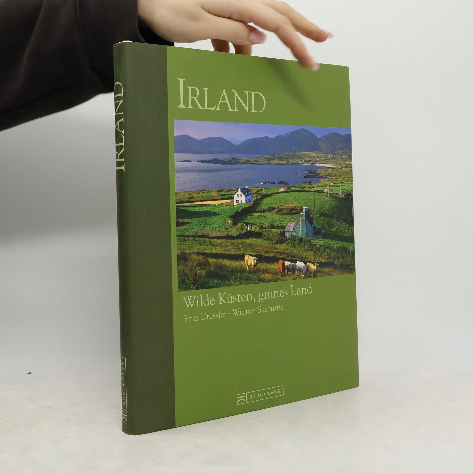 Hauke Dressler Irland