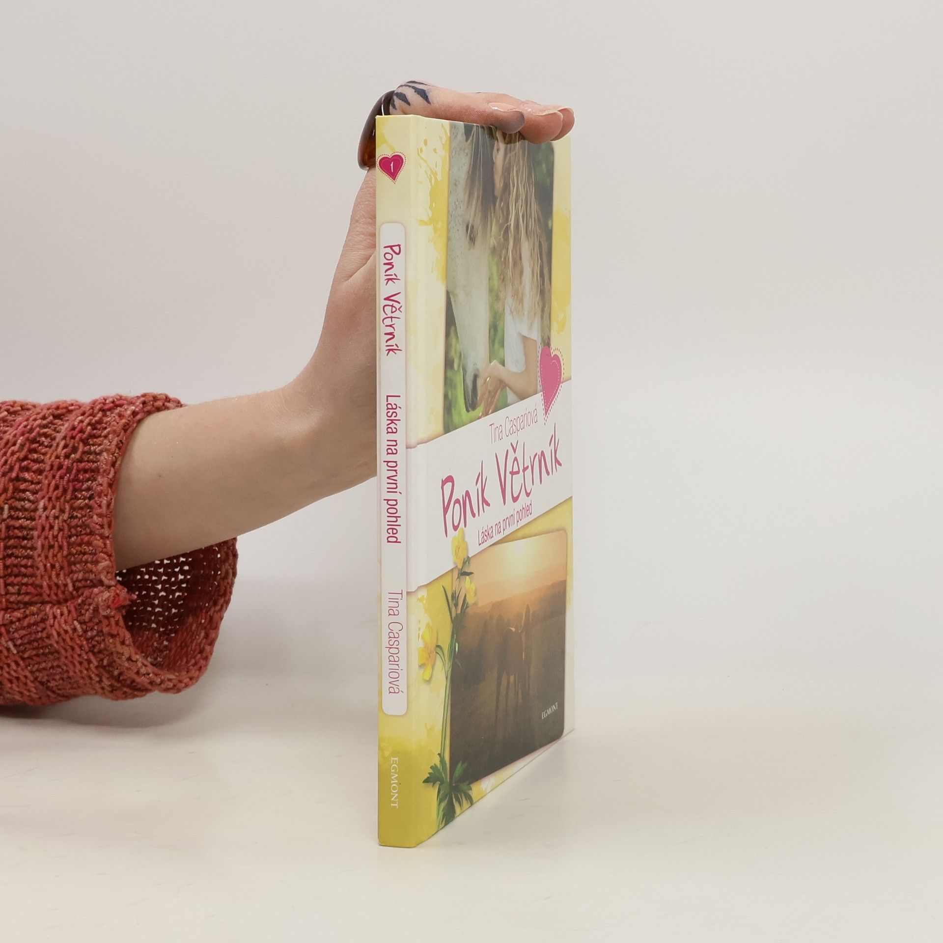 Poník Větrník - Láska na první pohled