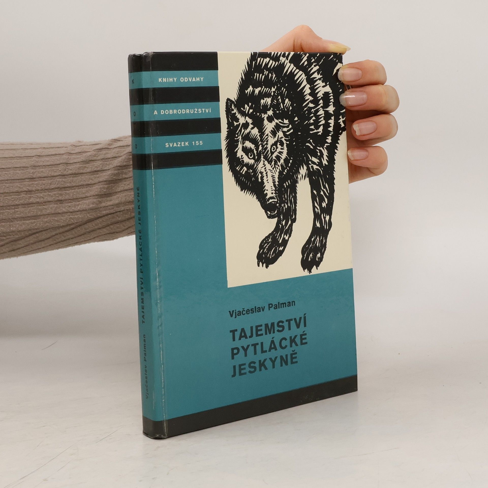 Vjačeslav Palman Tajemství pytlácké jeskyně