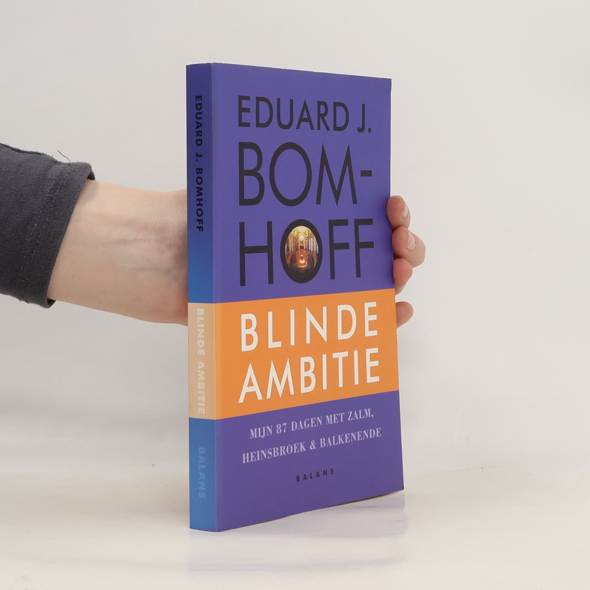 Eduard Jan Bomhoff Blinde ambitie