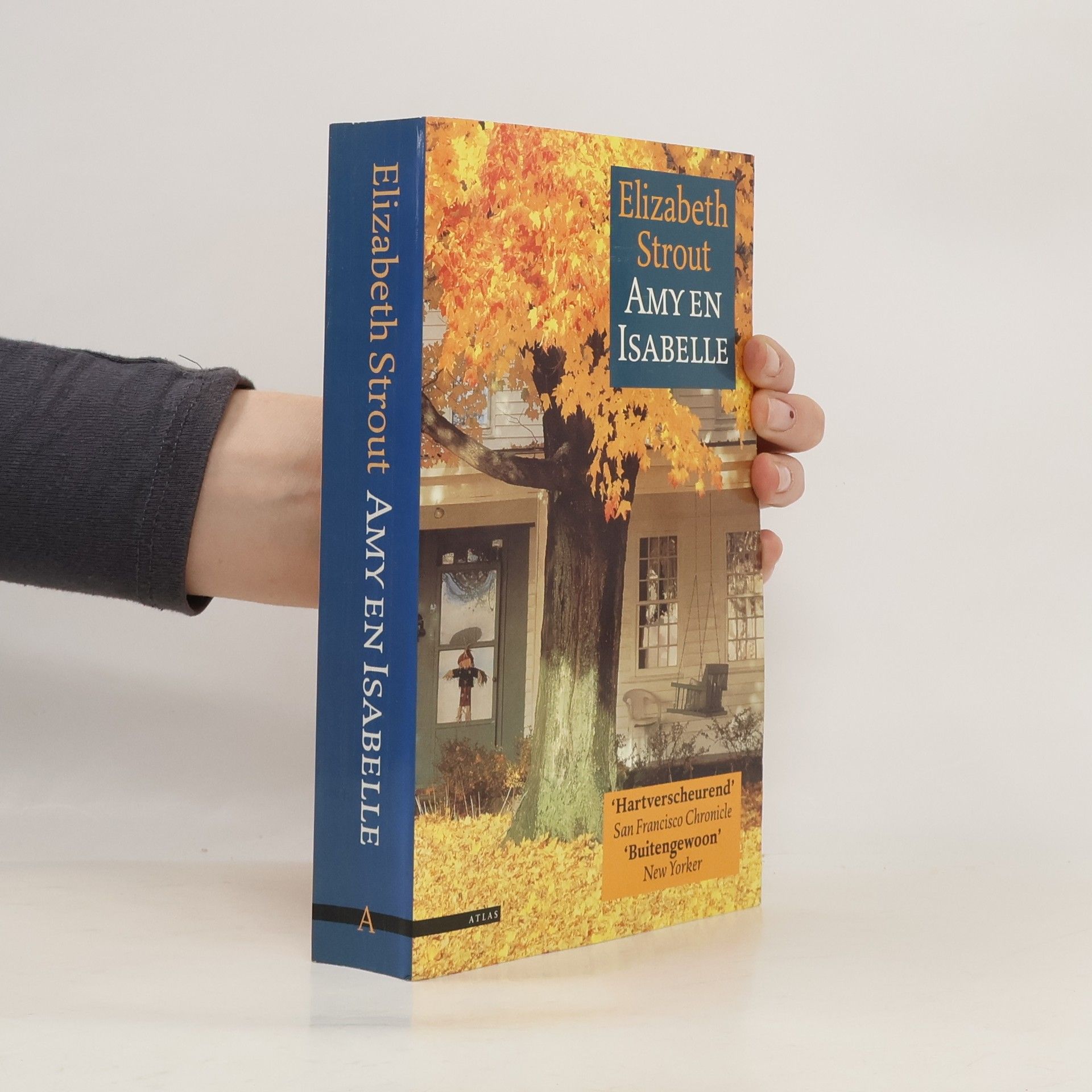 Elizabeth Strout Amy en Isabelle