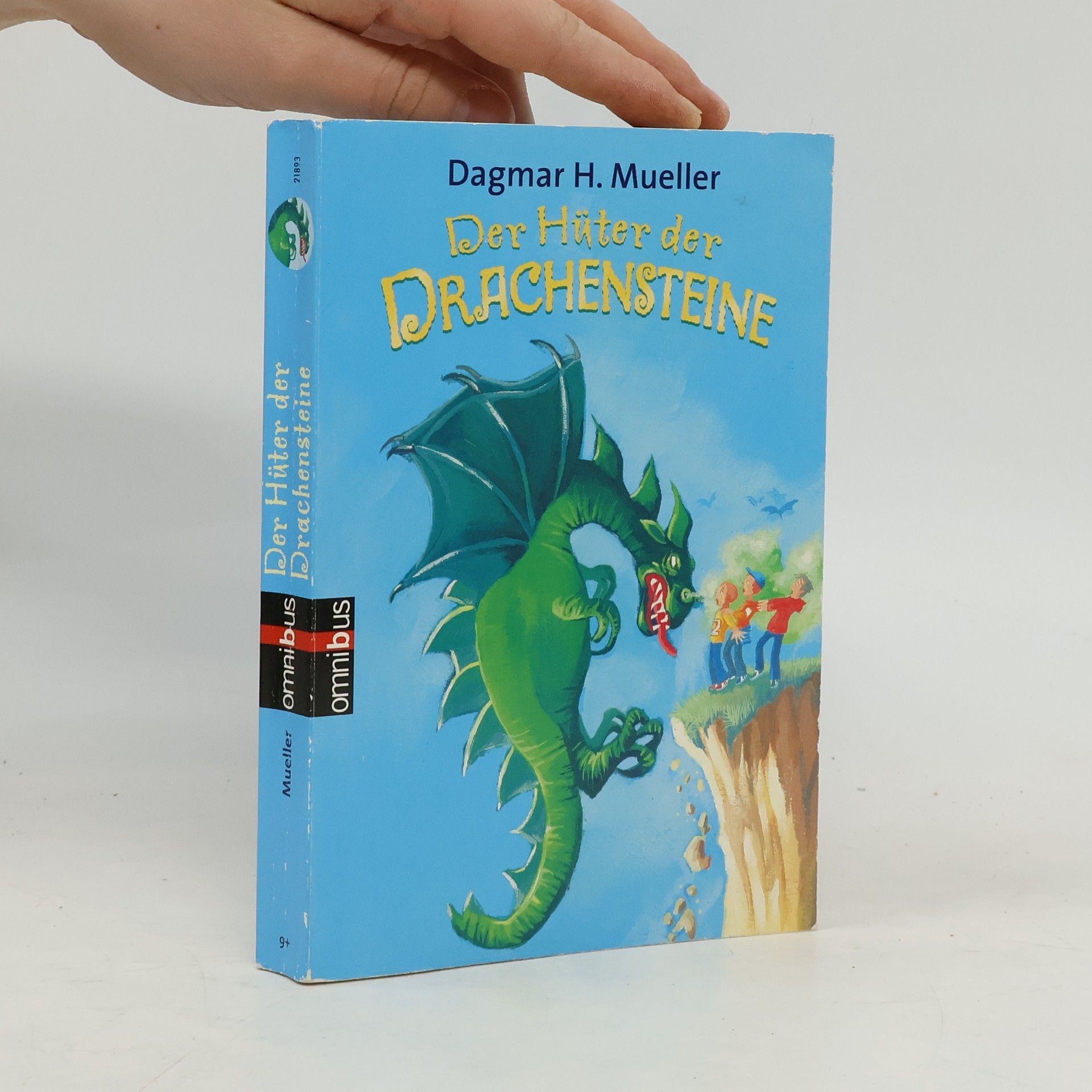 Dagmar H. Mueller Der Hüter der Drachensteine