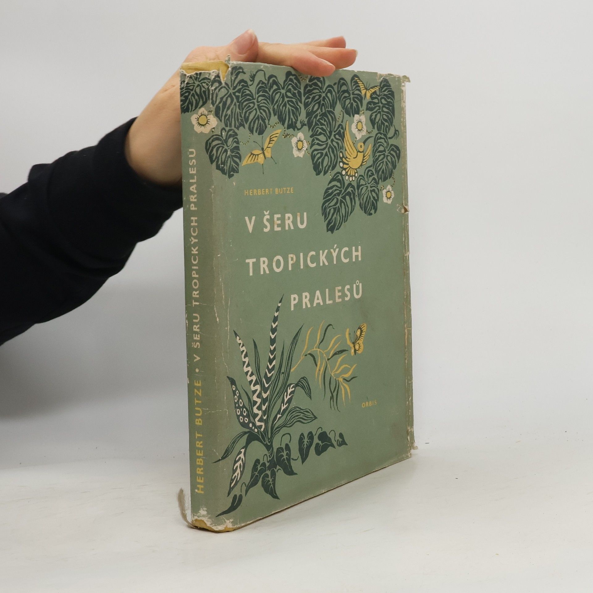 Herbert Butze V šeru tropických pralesů