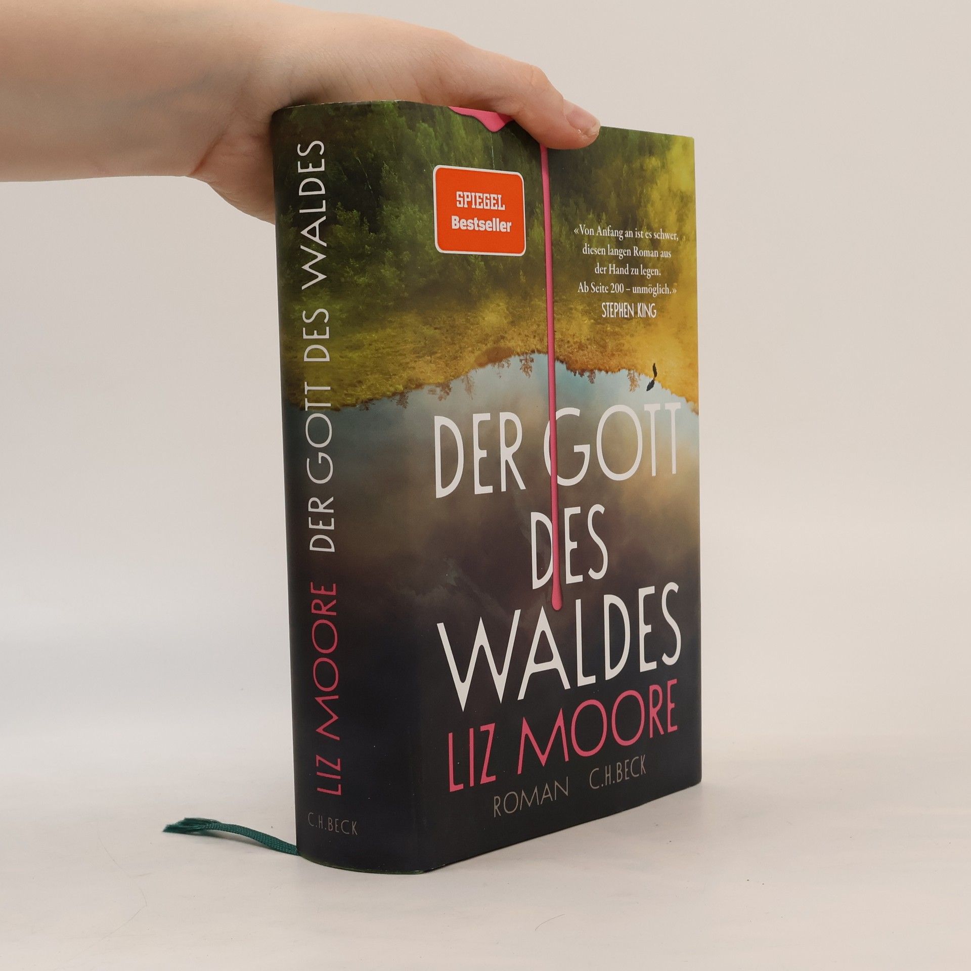 Liz Moore Der Gott des Waldes